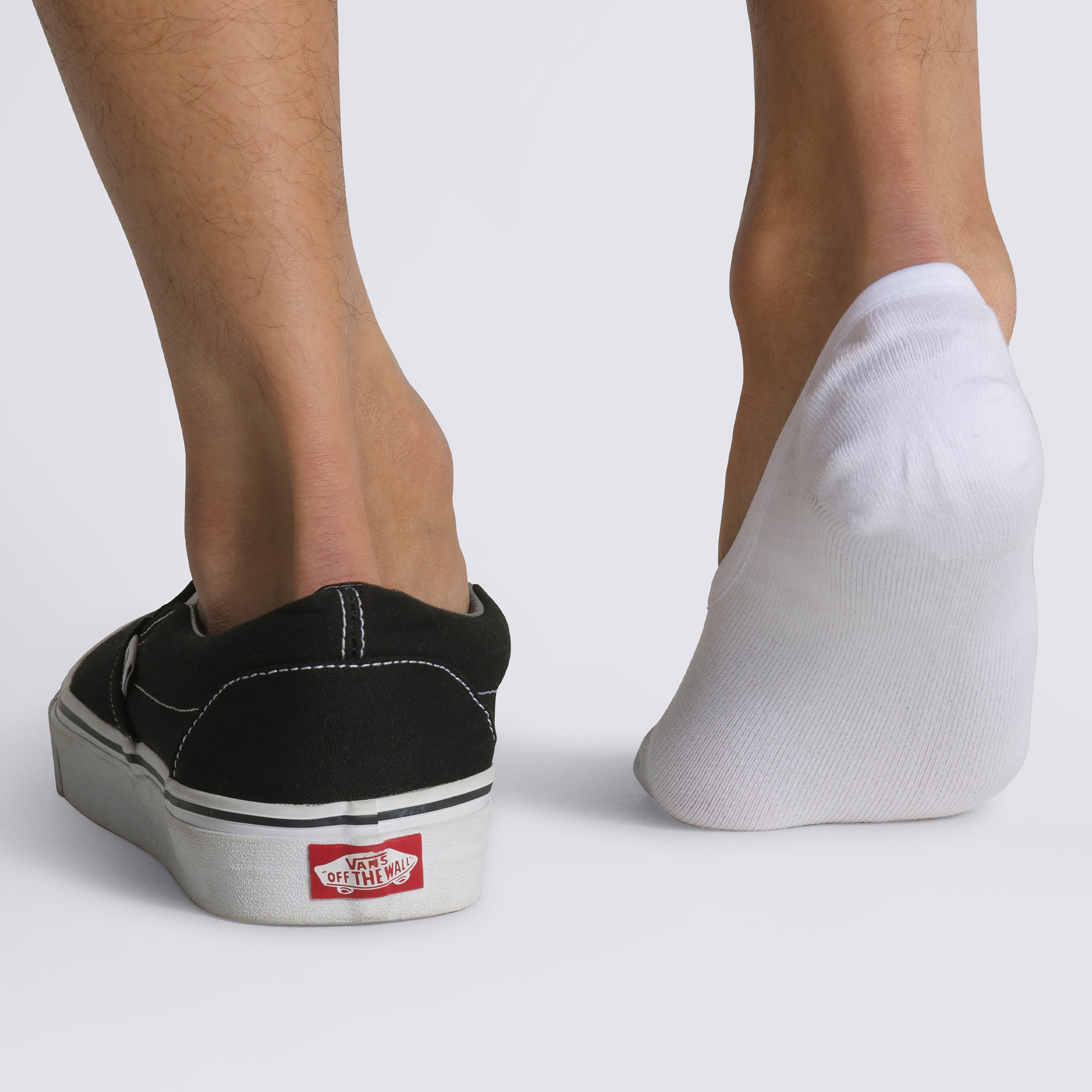 Vans Classic Canoodle Erkek Beyaz 3'lü Çorap