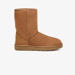 UGG Classic Short II Chesnut Kadın Kahverengi Bot