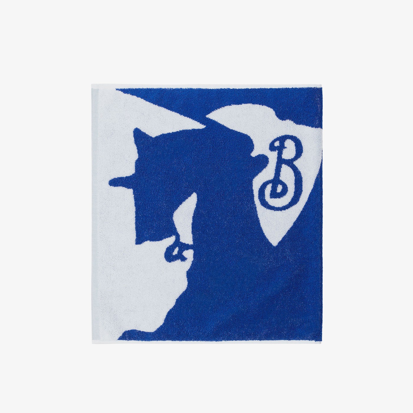 product_detail_image