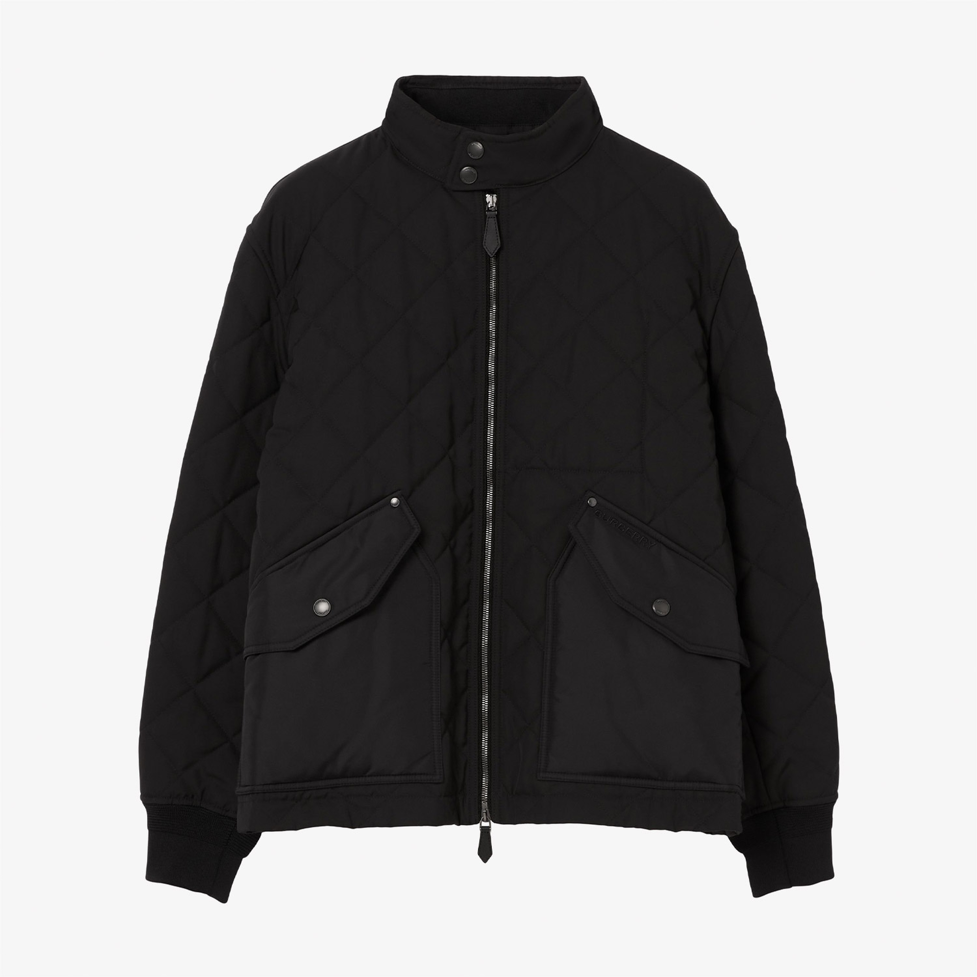 Burberry Erkek Siyah Mont