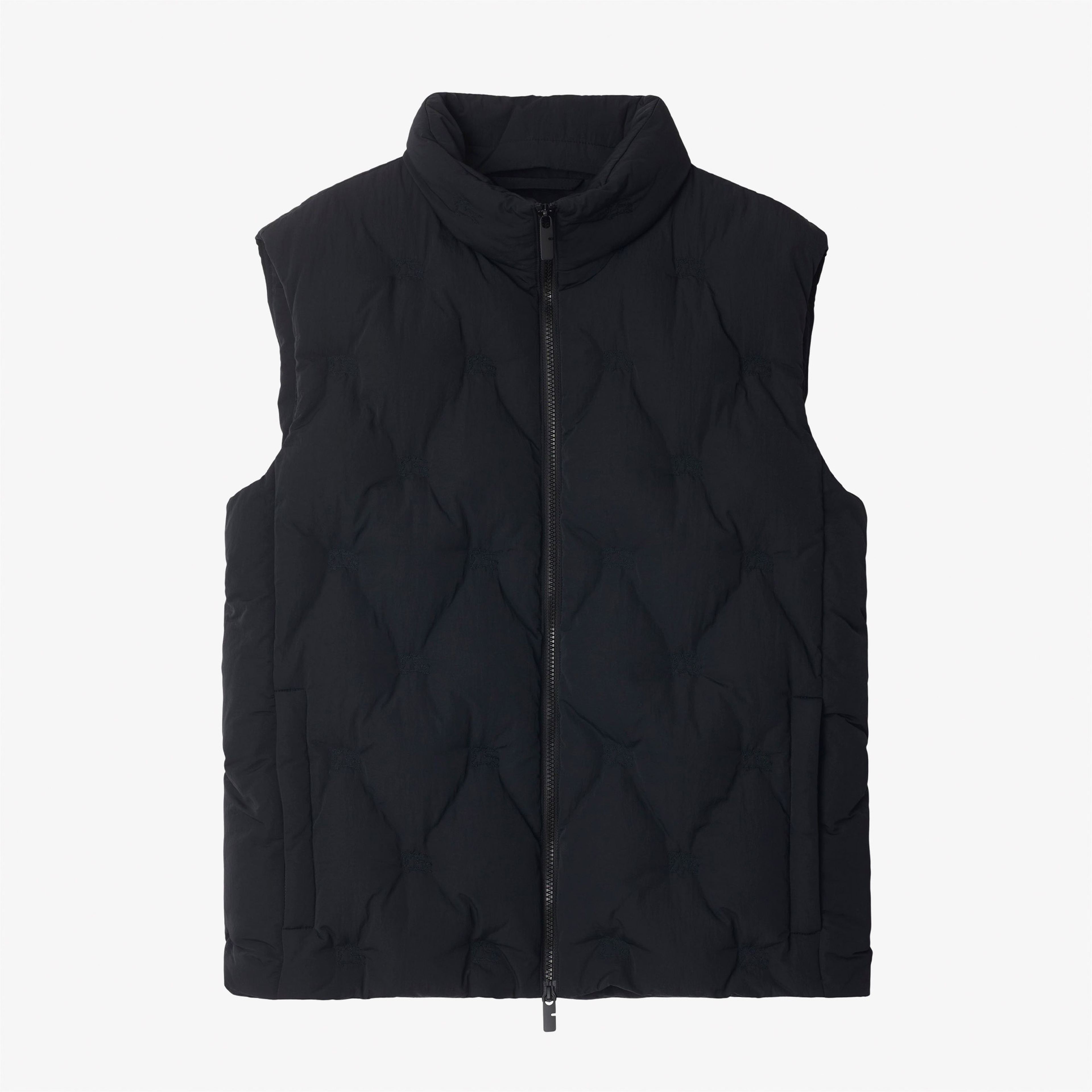 Burberry Erkek Siyah Mont