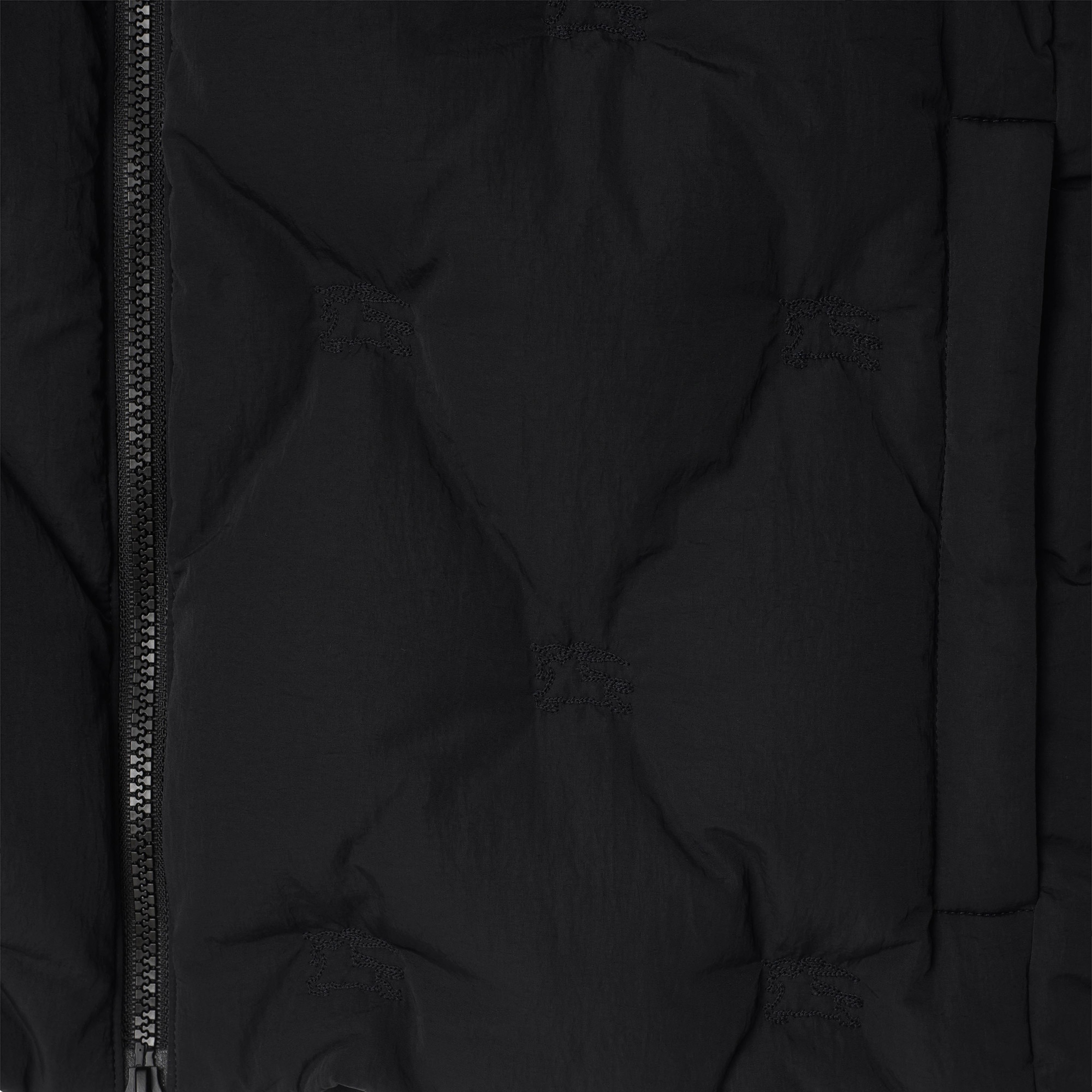 Burberry Erkek Siyah Mont