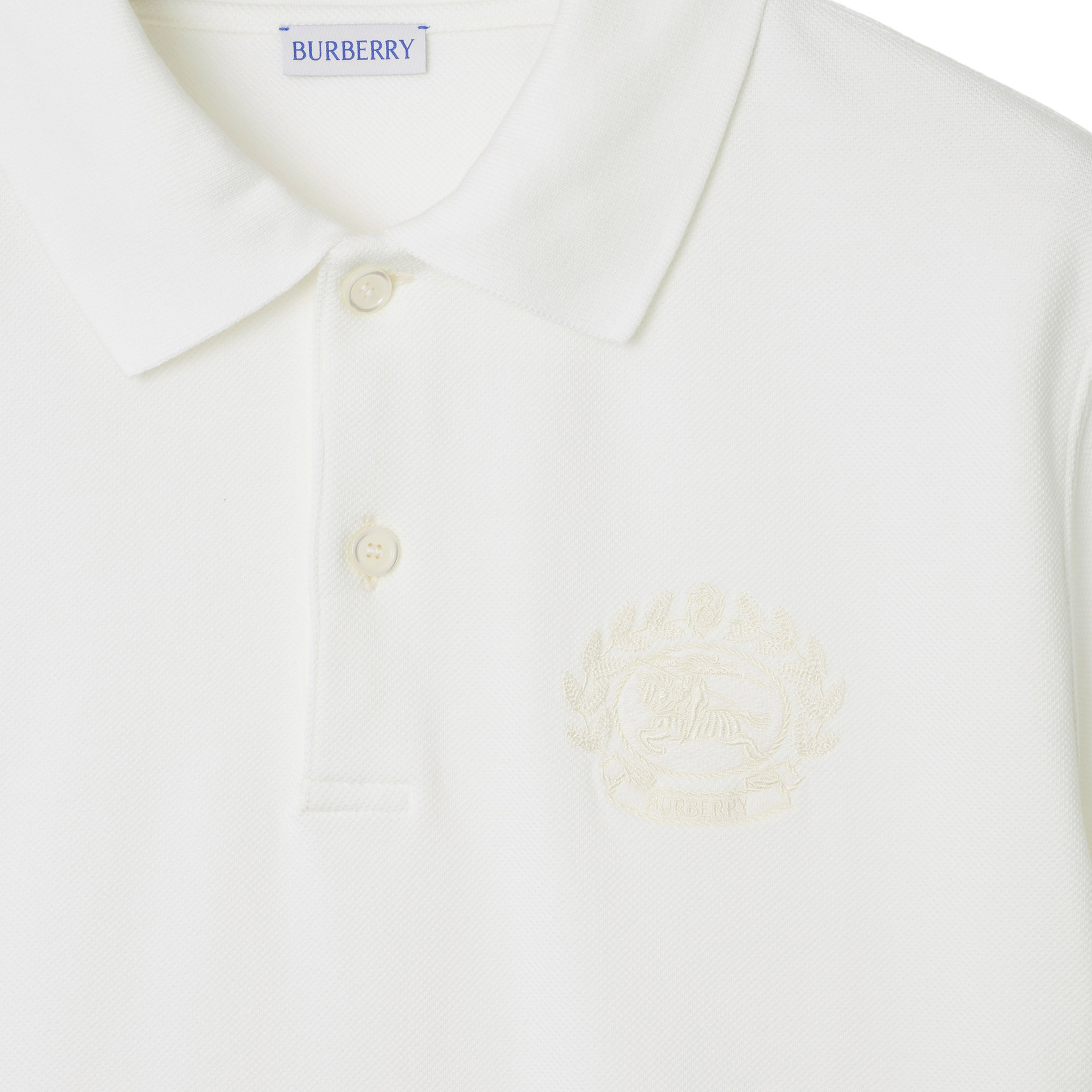 Burberry Erkek Renkli Polo