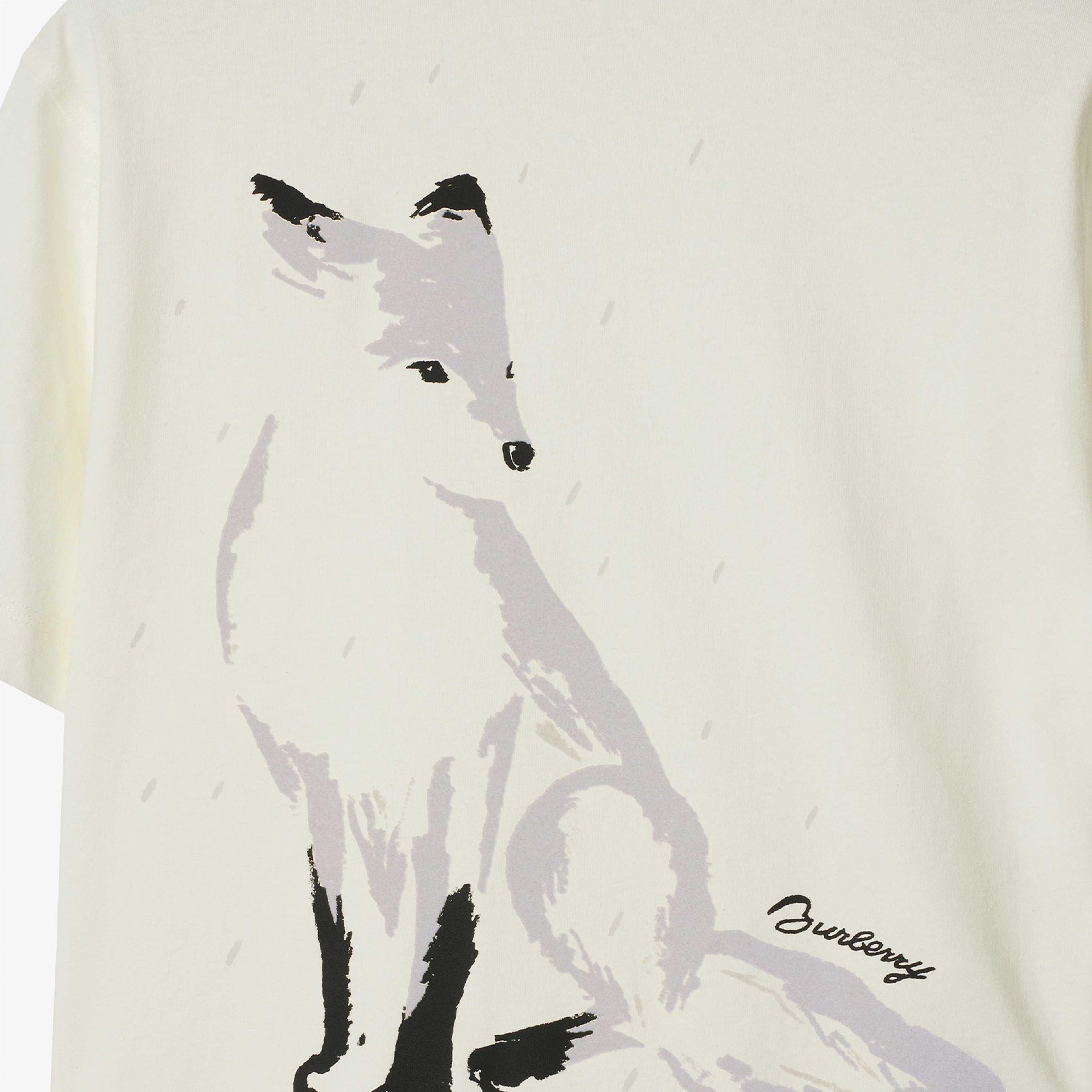 Burberry Erkek Renkli T-Shirt