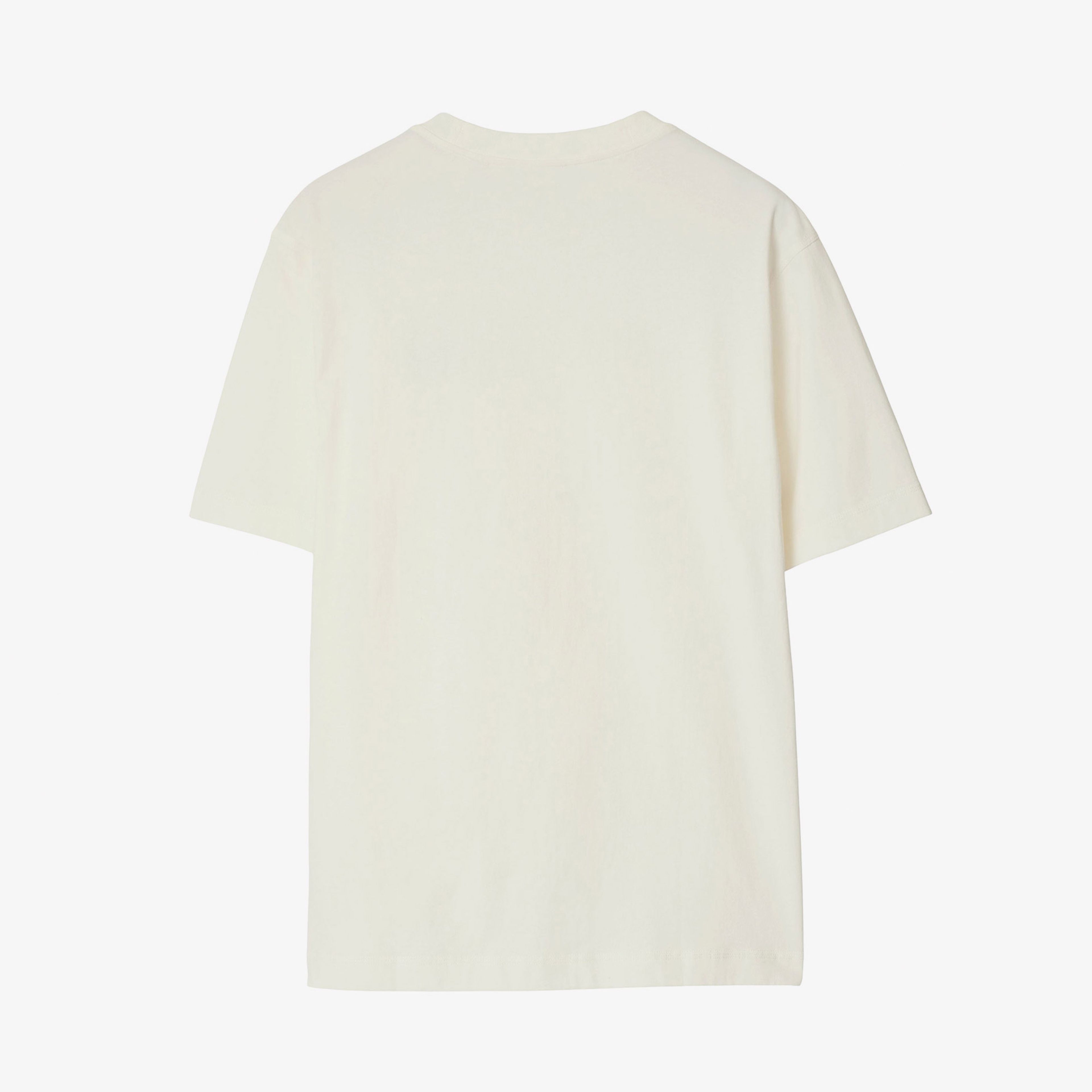 Burberry Erkek Renkli T-Shirt