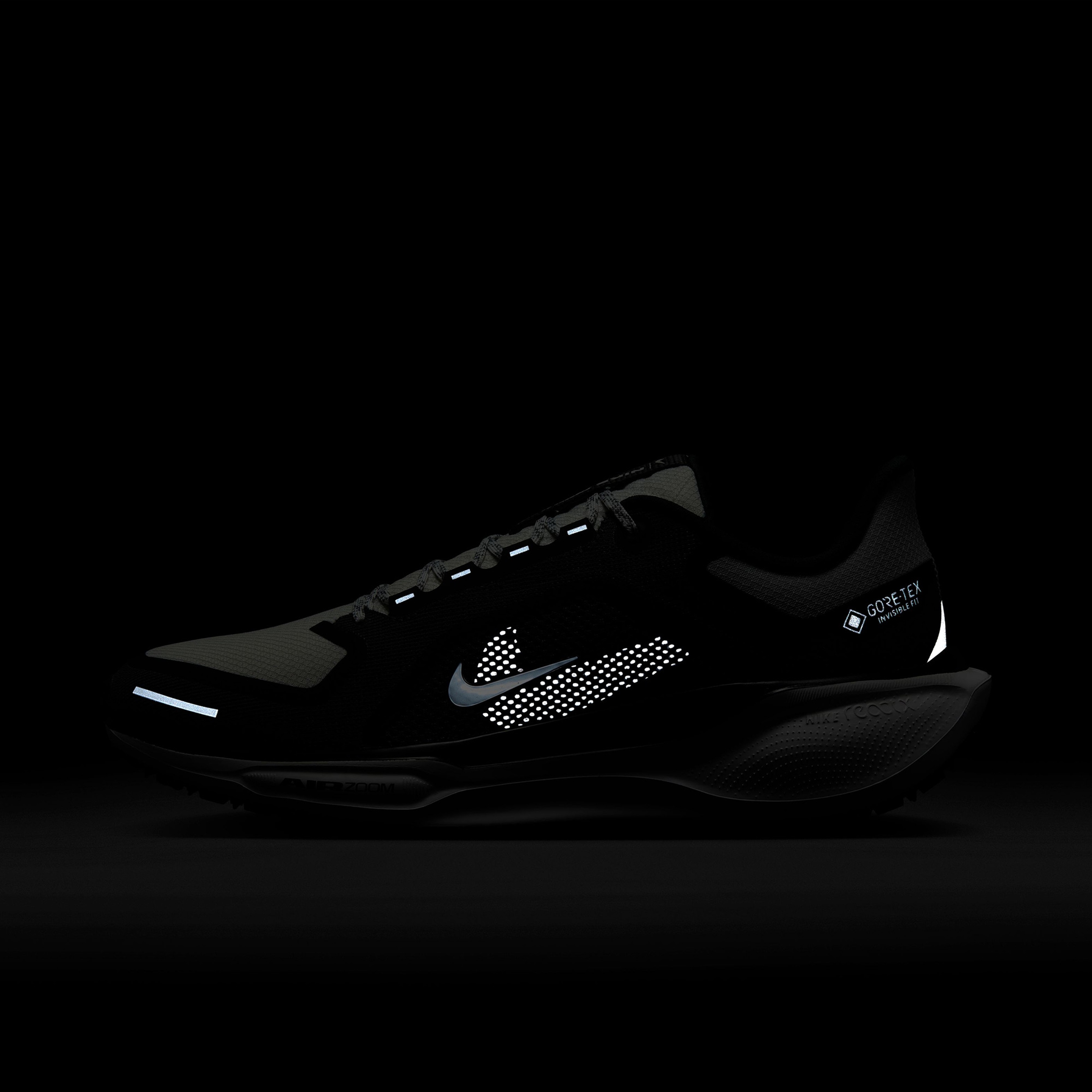 Nike Pegasus 41 Gore-Tex Waterproof Road Erkek Siyah Sneaker