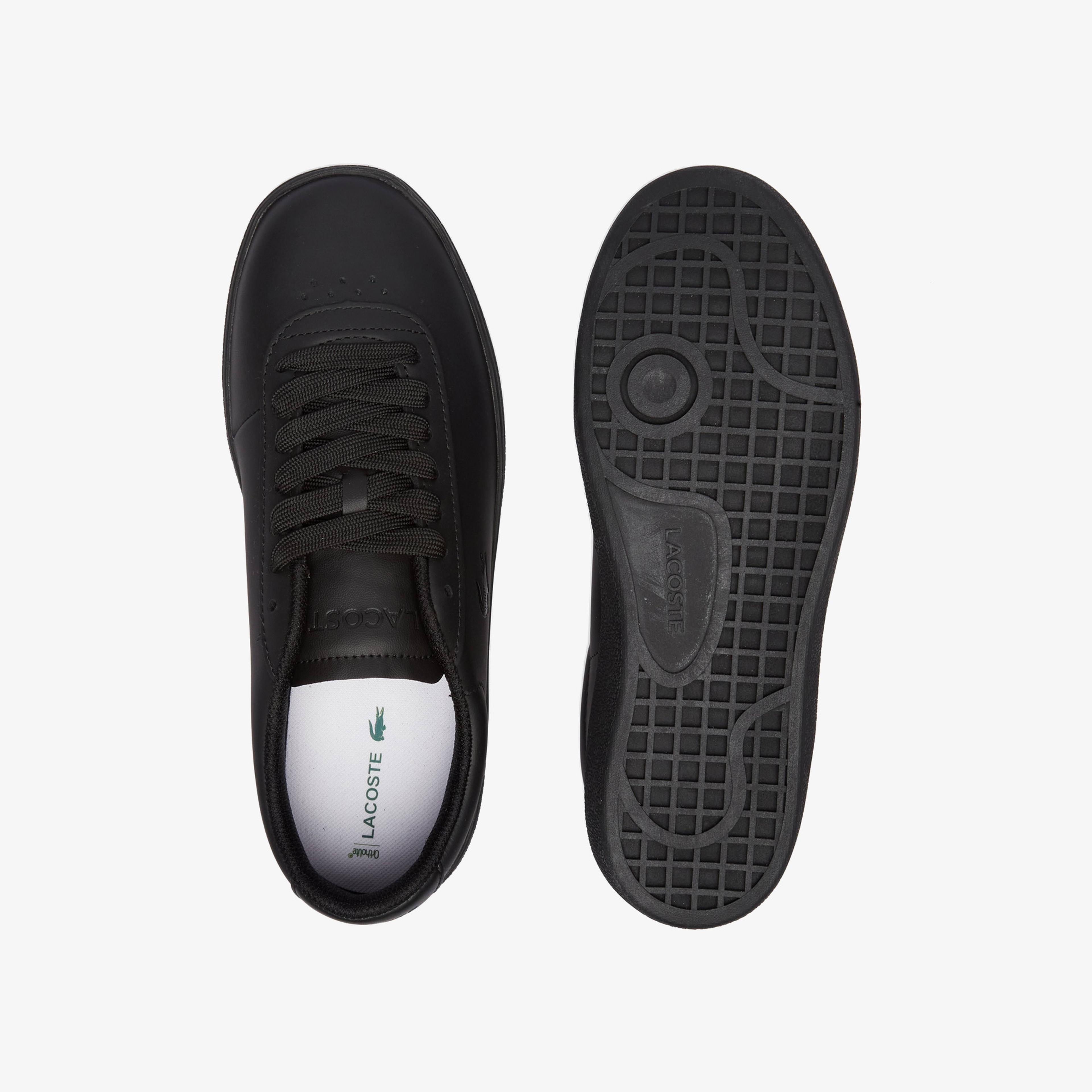 Baseshot Evo Kadın Siyah Sneaker