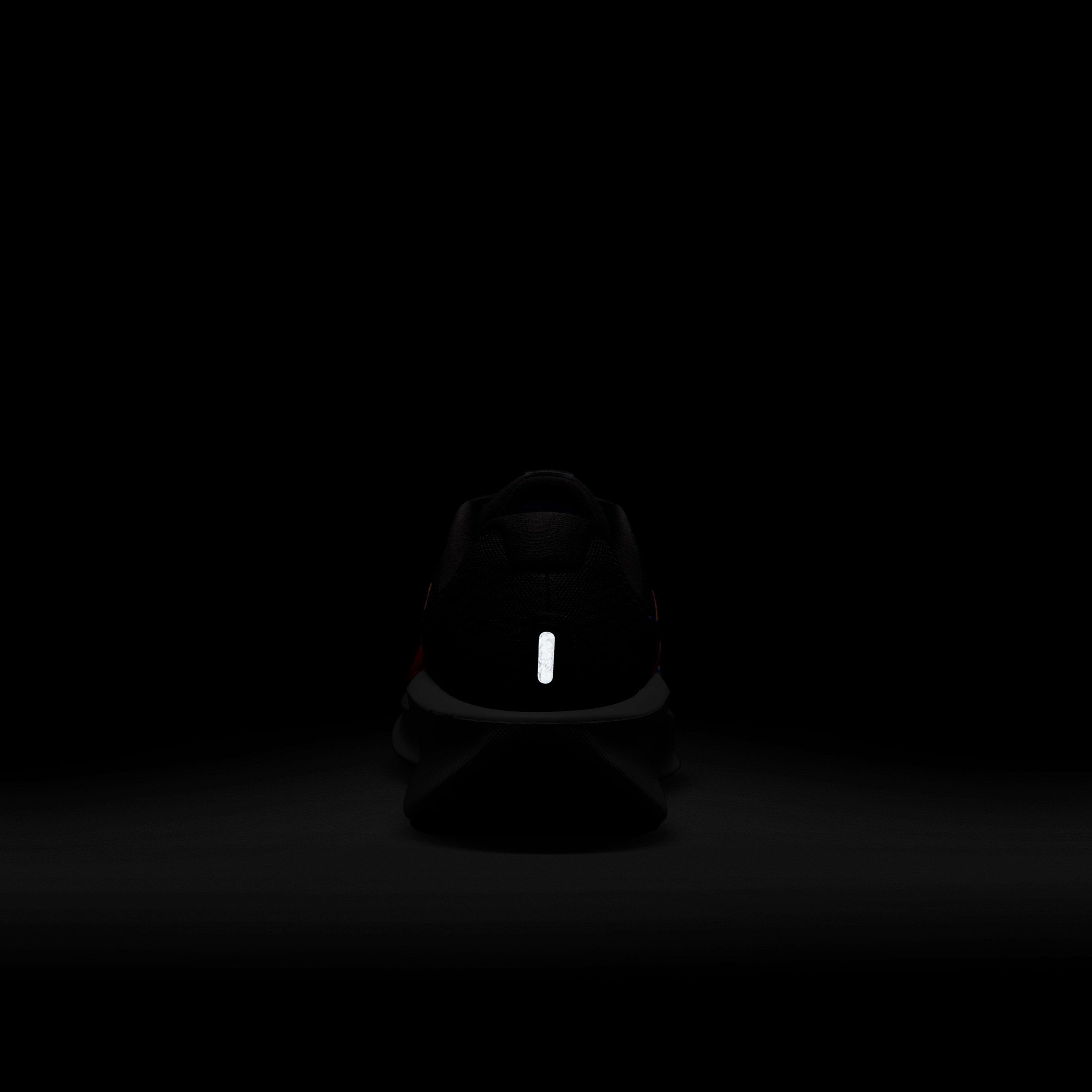 Nike Erkek Siyah Koşu Ayakkabısı