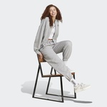 adidas All Szn Fleece Graphic Loose Kadın Gri Eşofman Altı