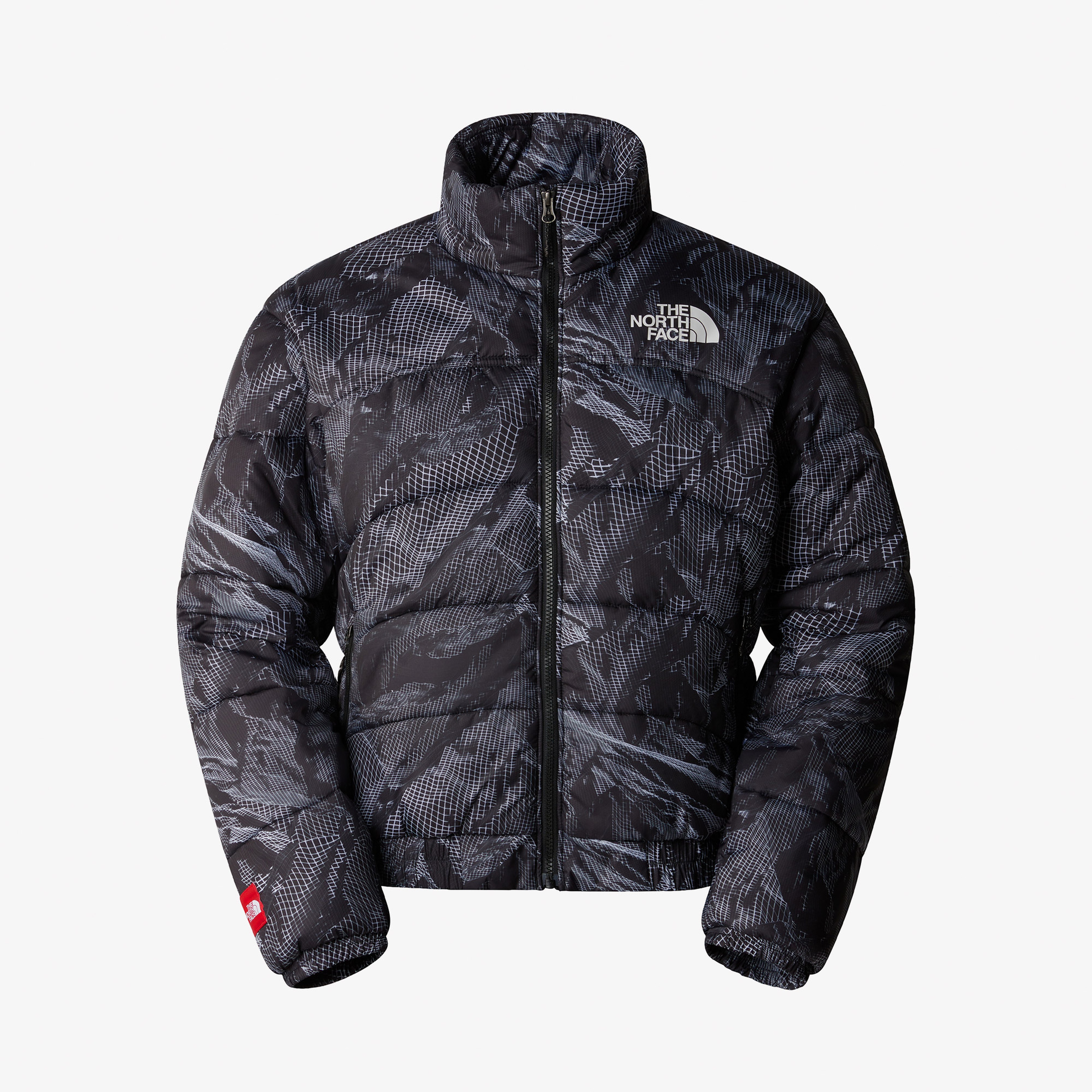 The North Face 2000 Erkek Siyah Mont