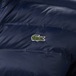 Erkek Kapüşonlu Lacivert Mont