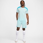 Nike Erkek Mavi Şort