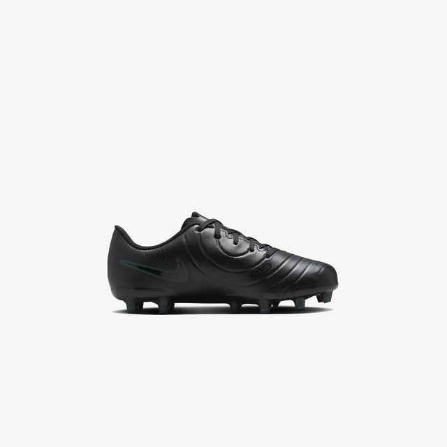 Nike Siyah Nike Legend 10 dv4352-002
