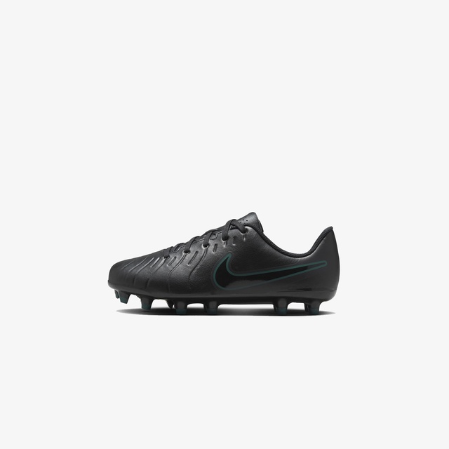 Nike Siyah Nike Legend 10 dv4352-002