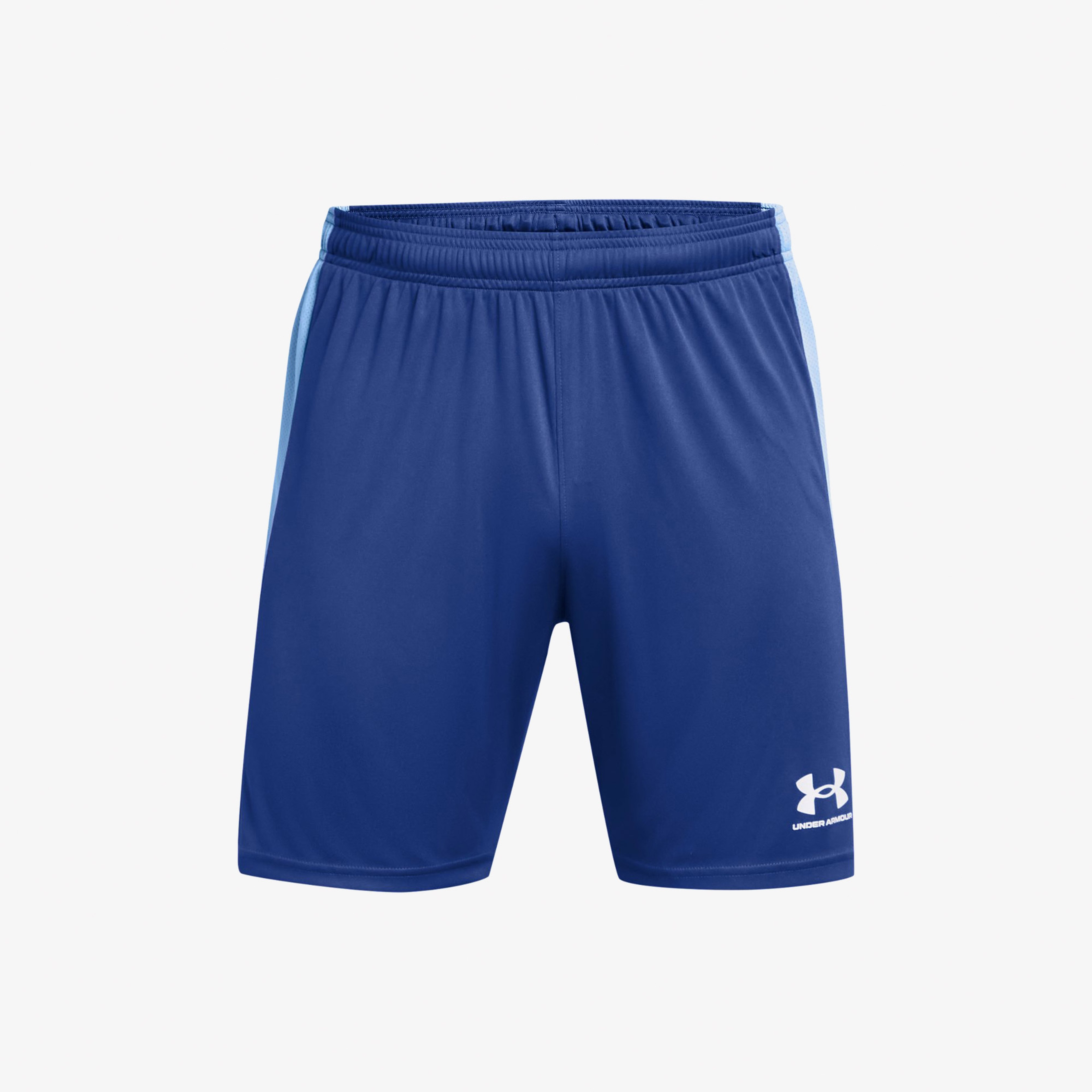 Under Armour Erkek Mavi Şort