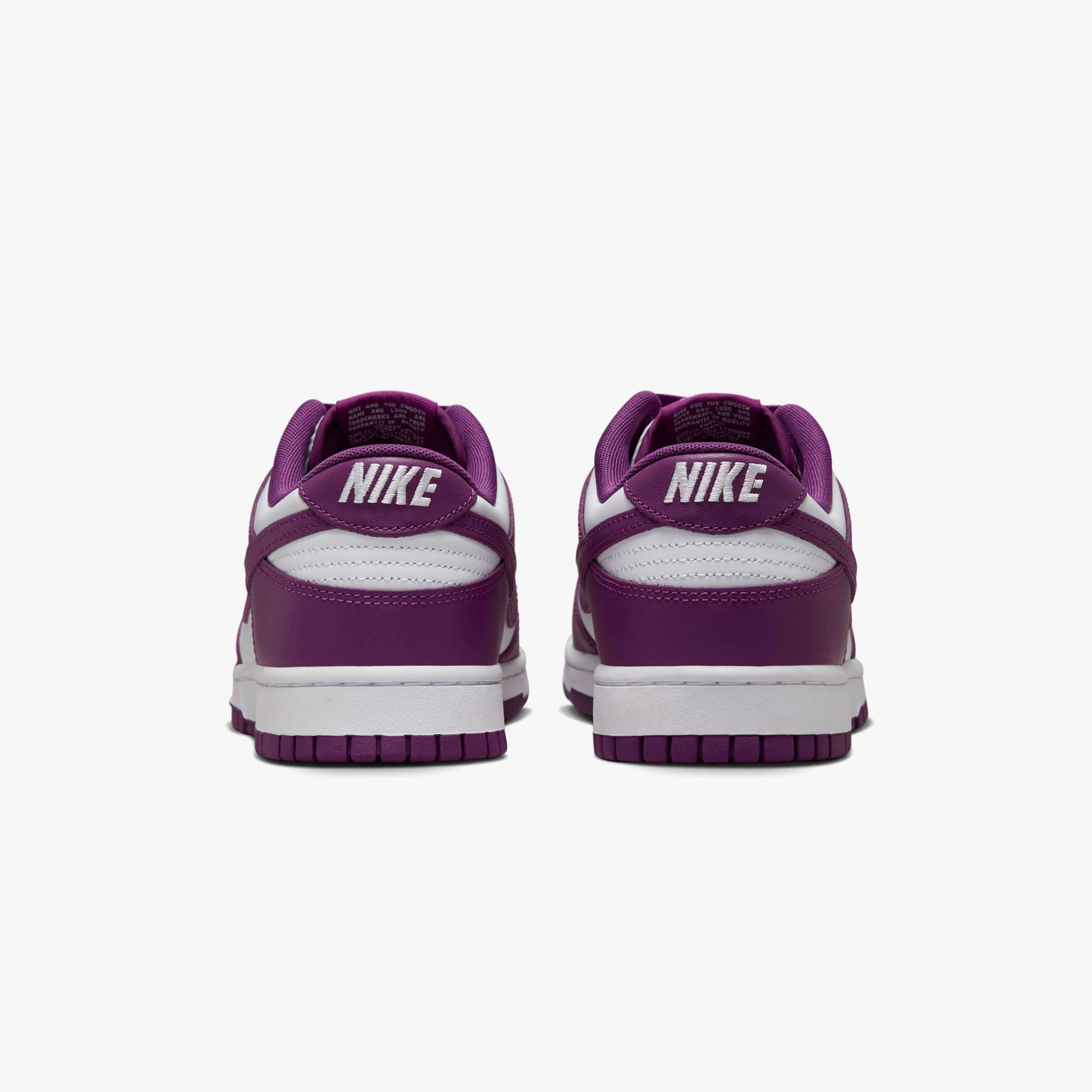 Nike Dunk Low Retro Erkek Beyaz Sneaker