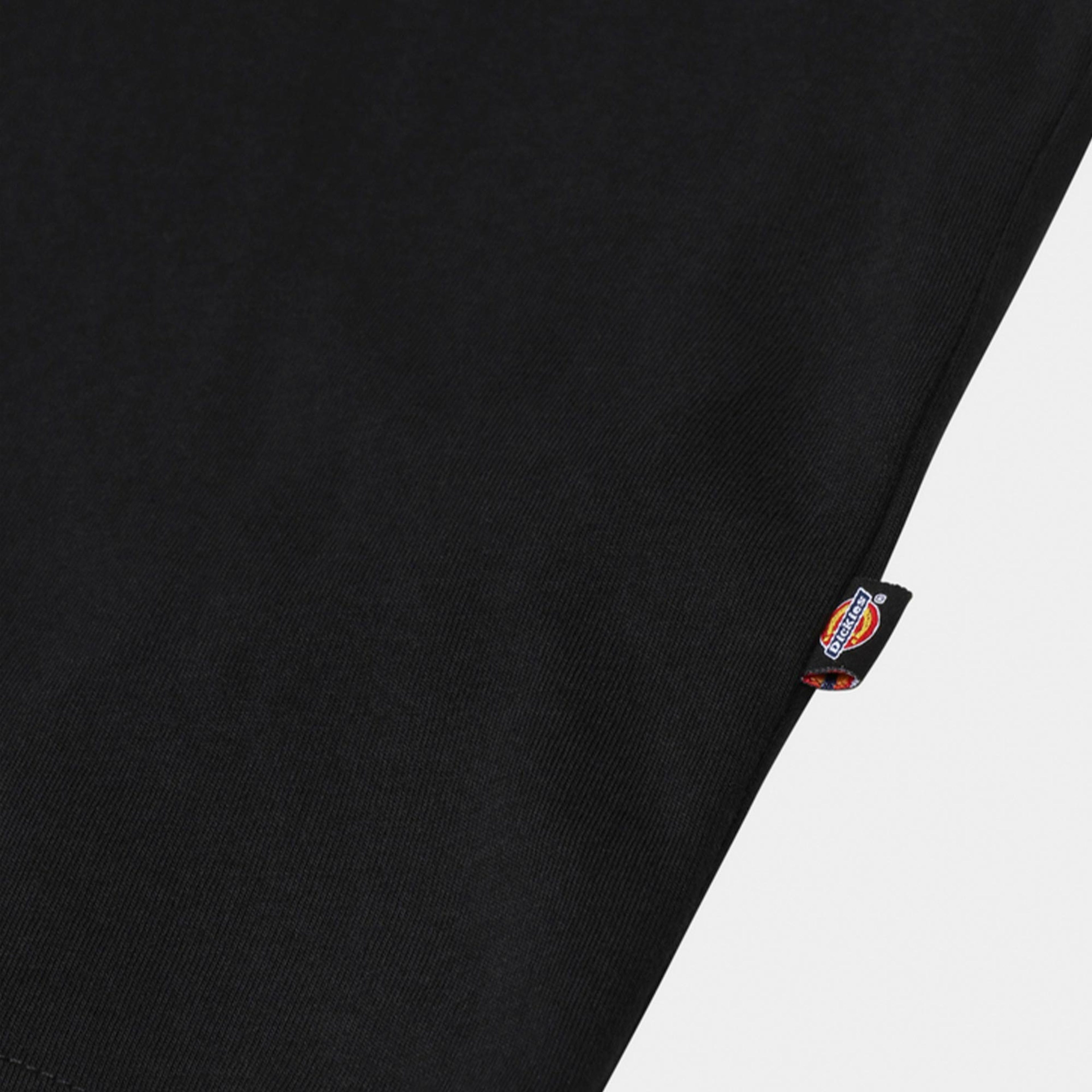 Dickies Mapleton Erkek Siyah T-Shirt