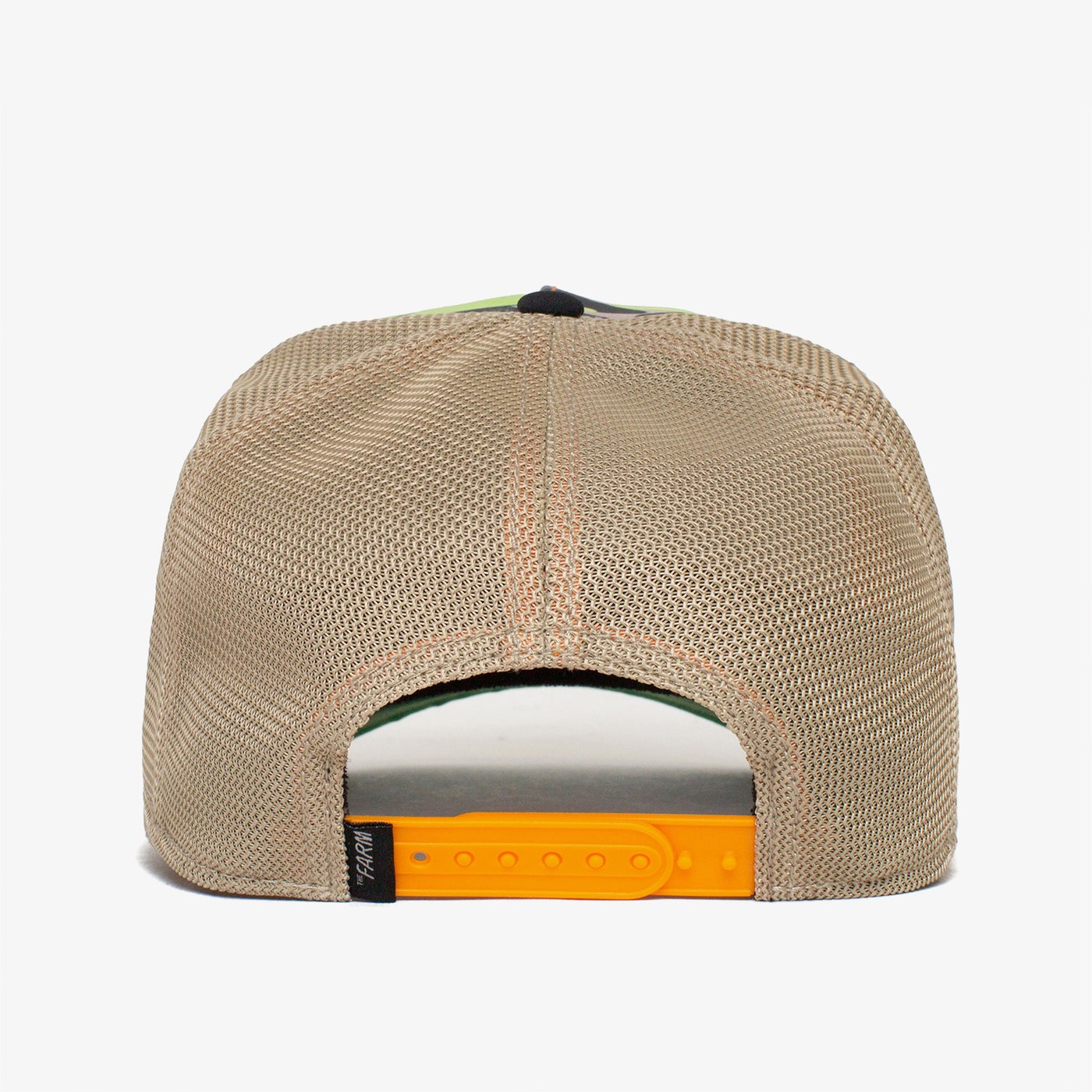 product_detail_image