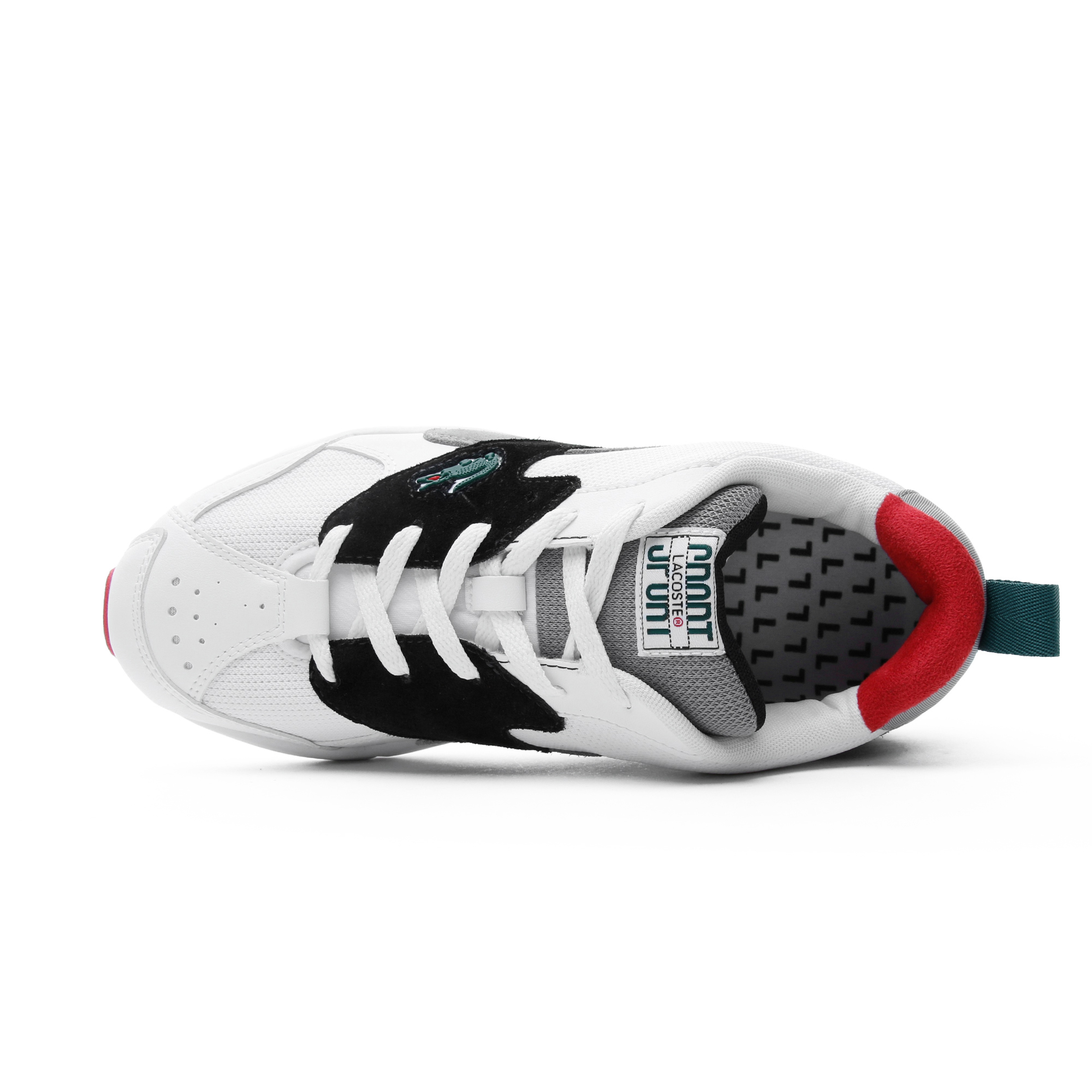 Lacoste Erkek Renkli Sneaker