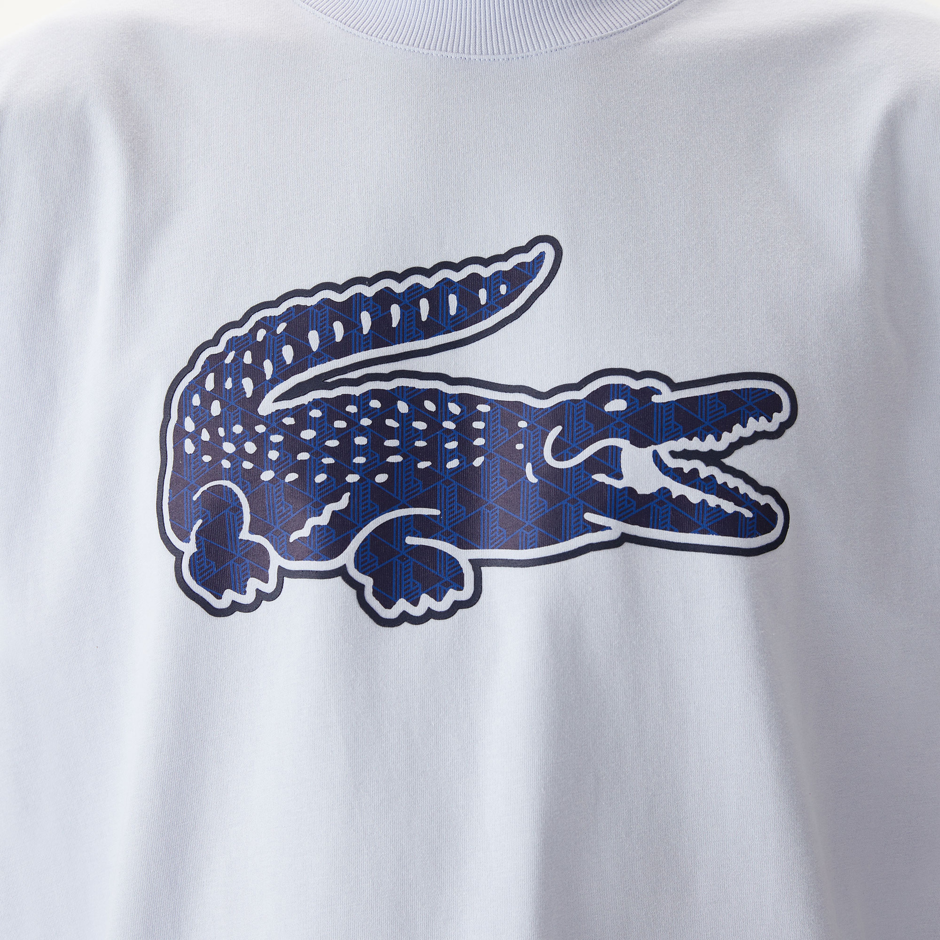 Erkek Relaxed Fit Bisiklet Yaka Baskılı Beyaz T-Shirt