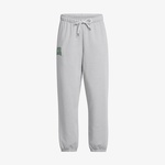 Under Armour icon Hwt Terry Os  Kadın Gri Eşofman Altı