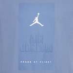 Jordan Jdb Jumpman Banner Çocuk Mavi Kısa Kol T-Shirt