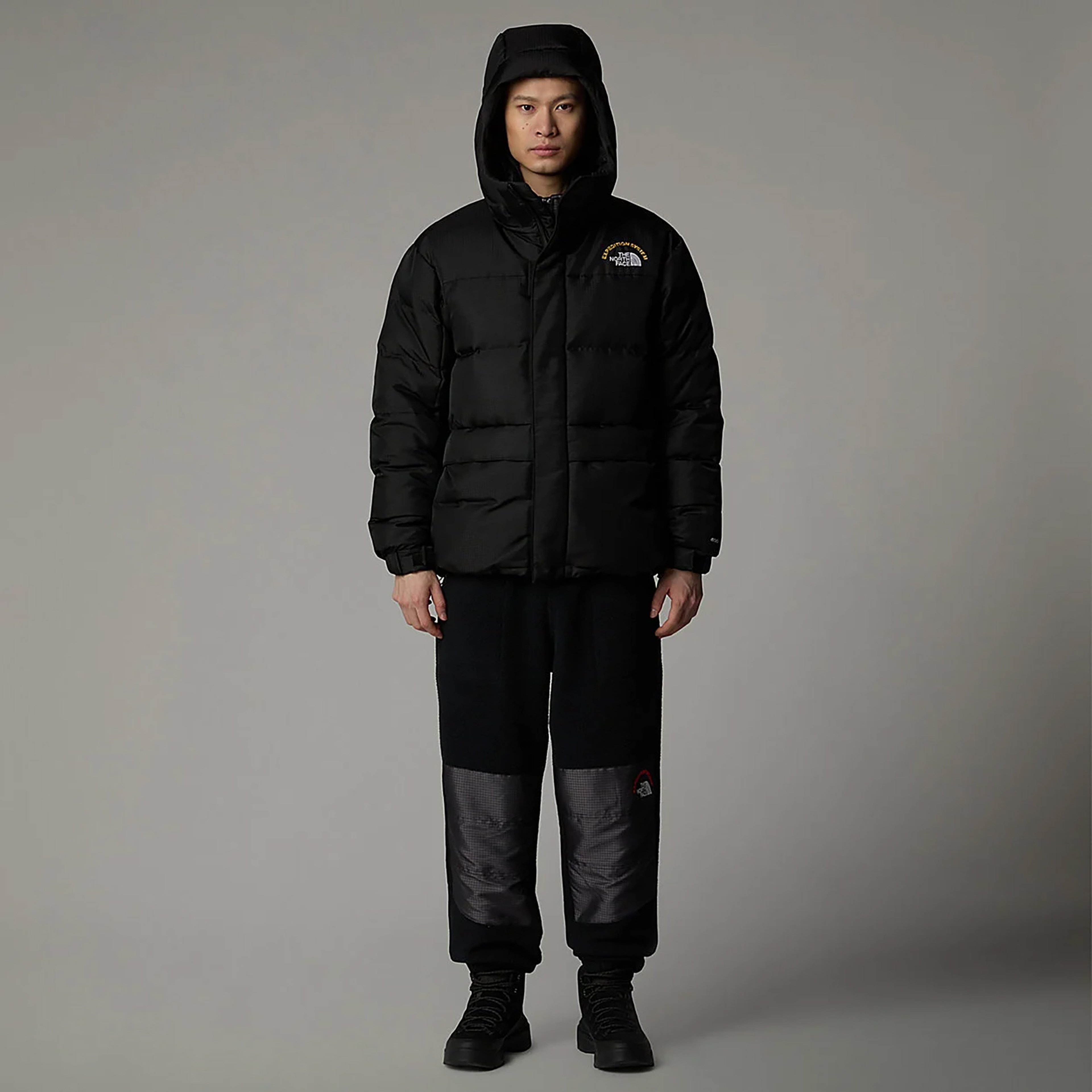 The North Face 30th Anniversary Erkek Siyah Mont