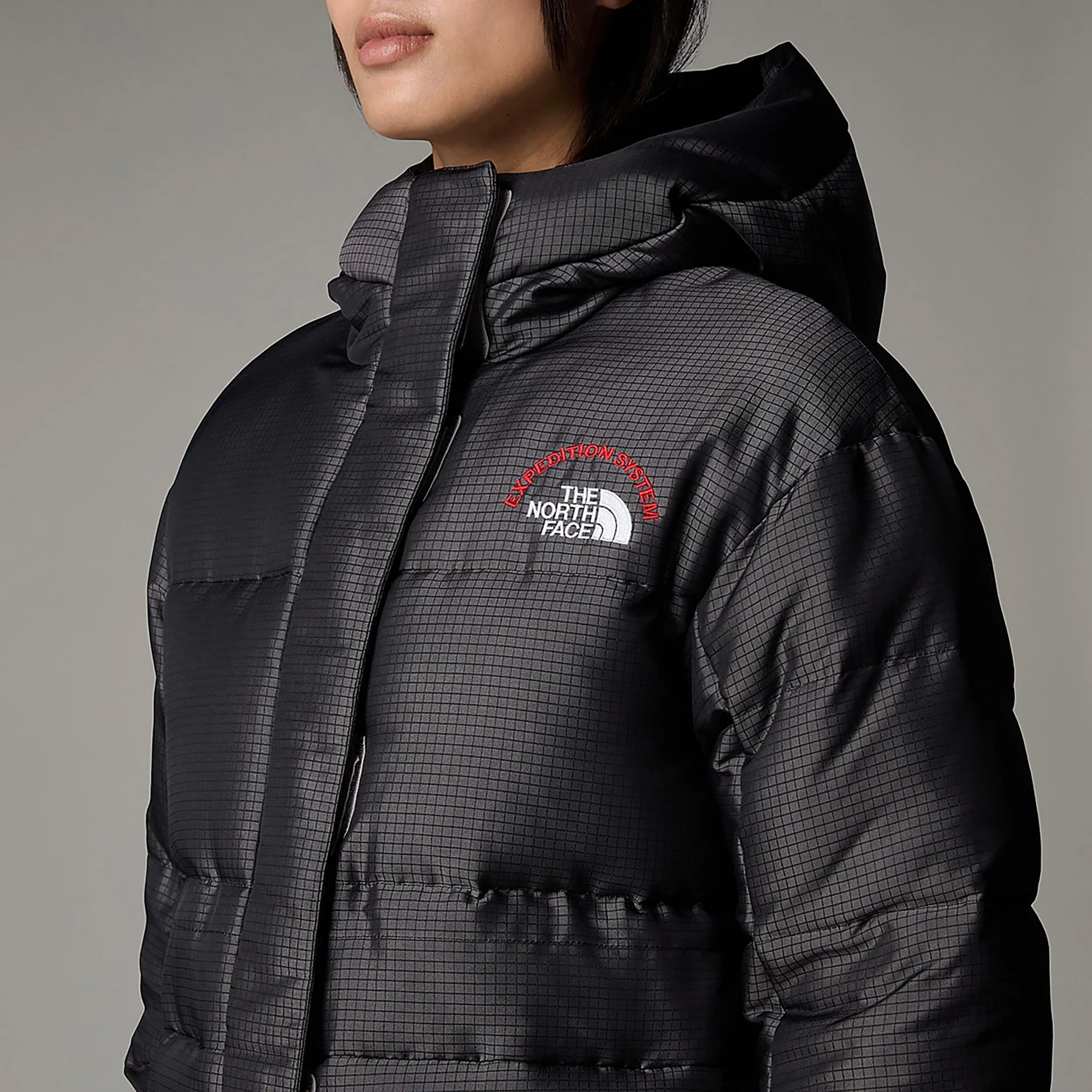 The North Face Himalayan 30TH Anniversary Kadın Gri Ceket