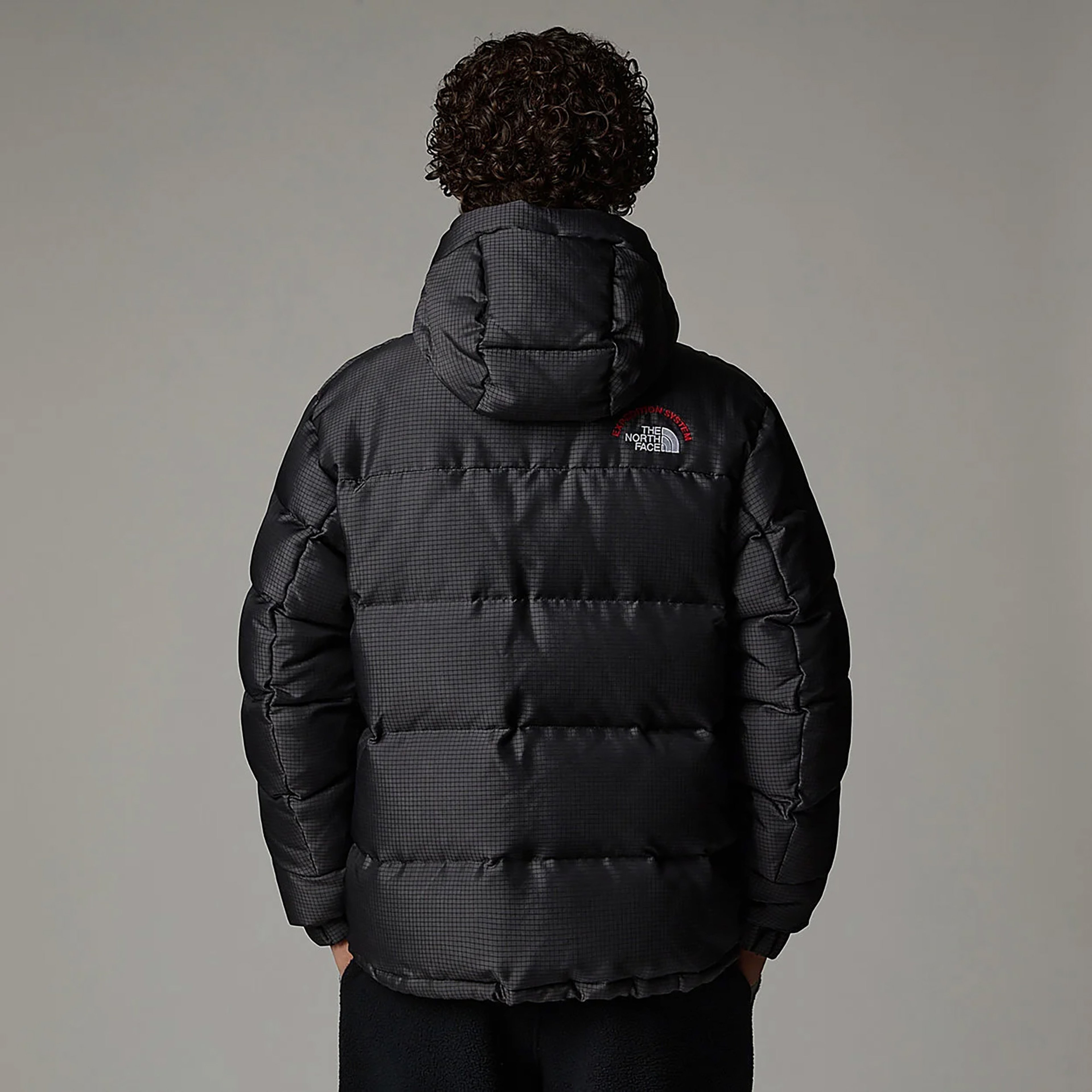 The North Face Himalayan 30th Anniversary Erkek Gri