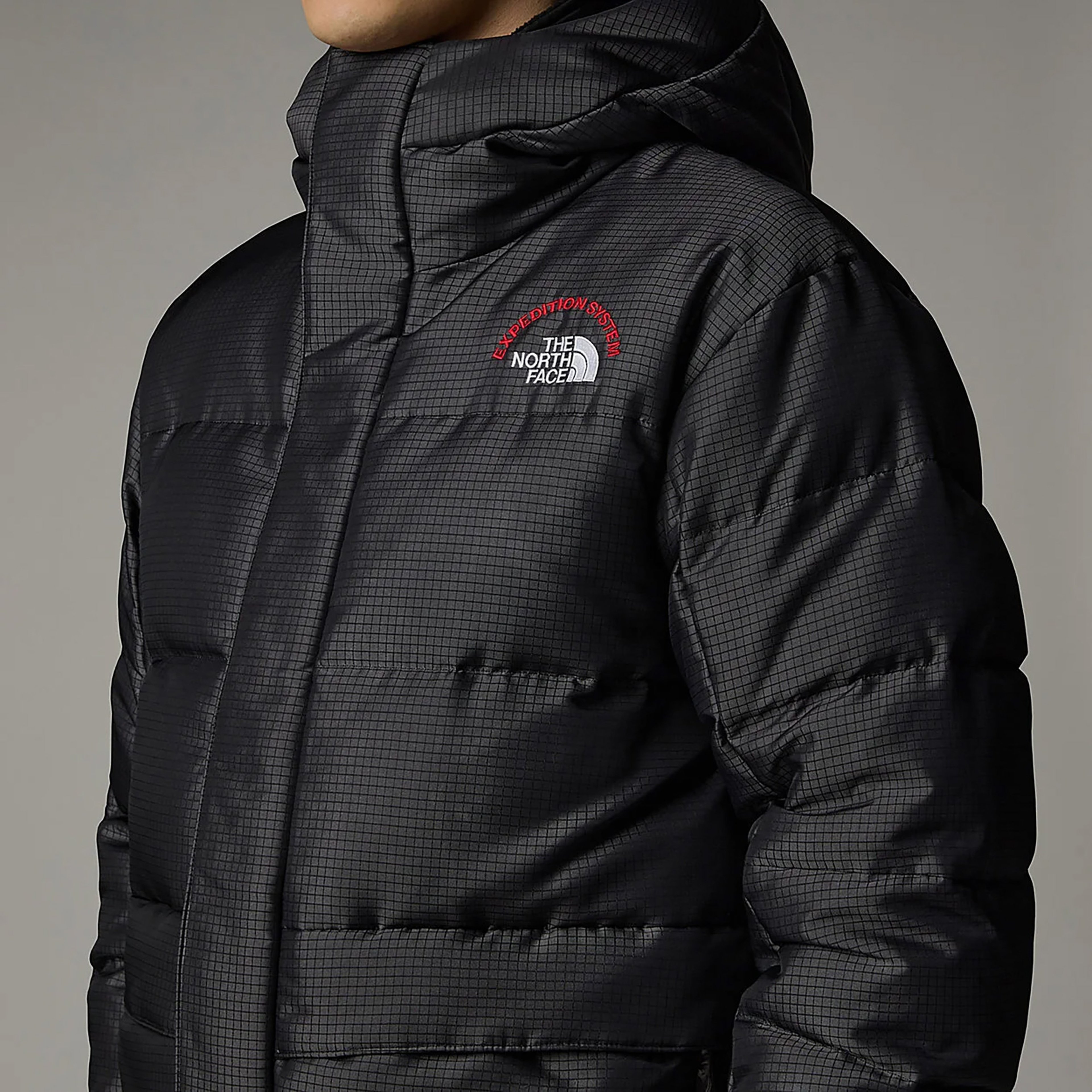 The North Face Himalayan 30th Anniversary Erkek Gri