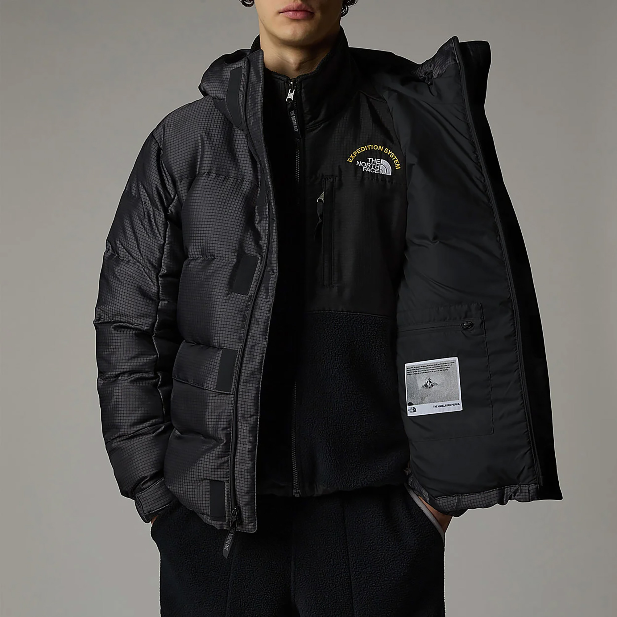 The North Face Himalayan 30th Anniversary Erkek Gri