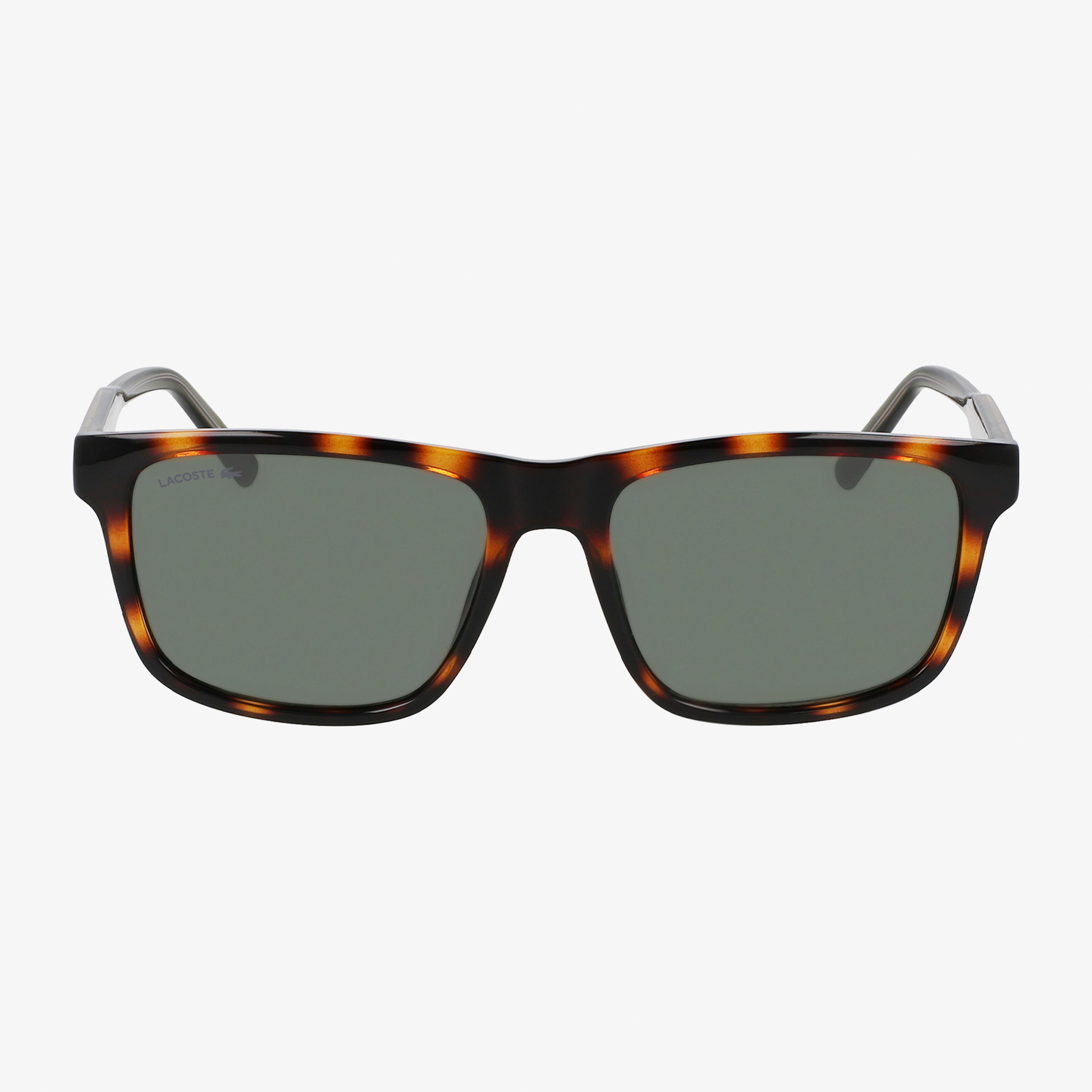 Kadın Kahverengi Güneş Gözlüğü