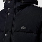 Lacoste Erkek Siyah Mont