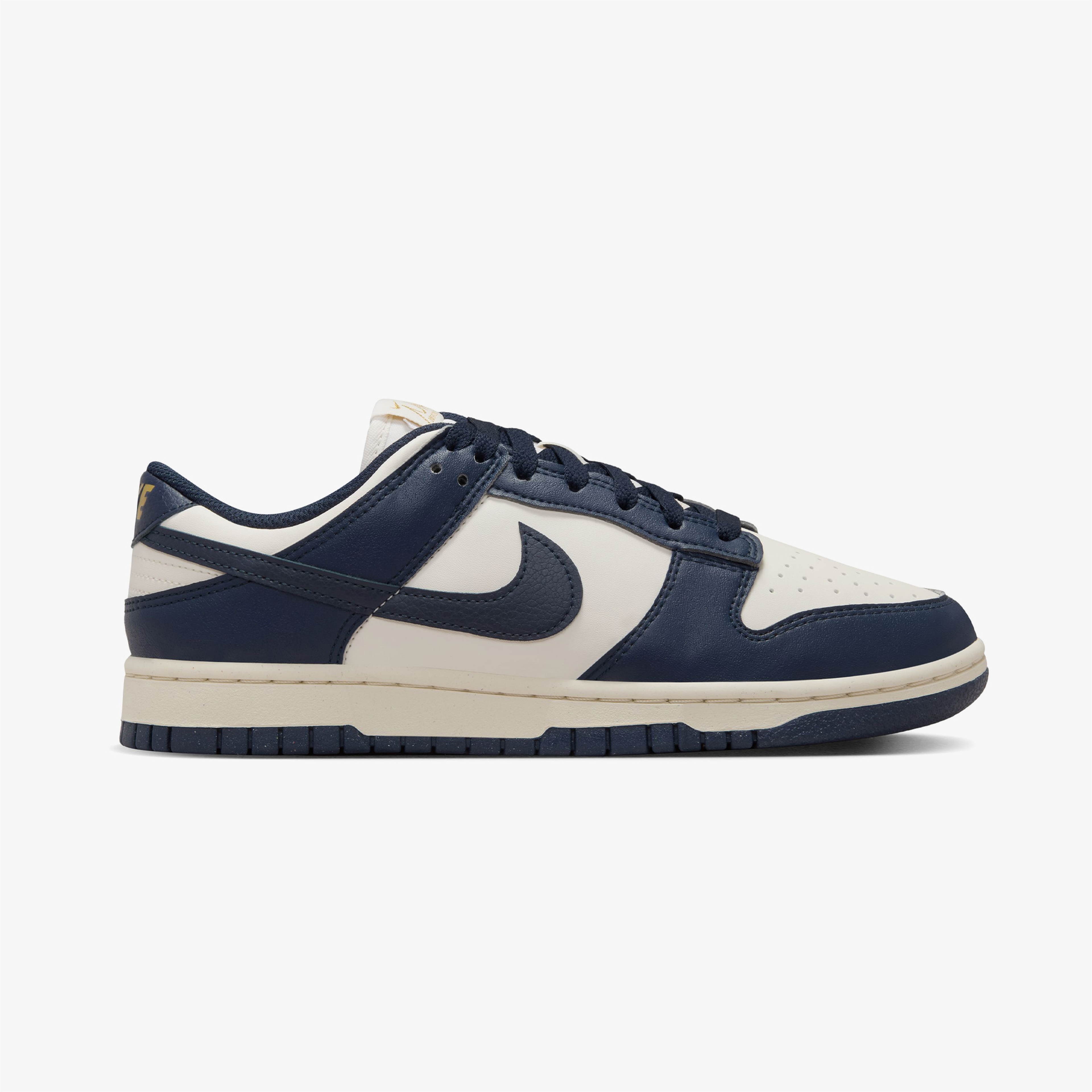 Nike Dunk Low Next Nature Kadın Siyah Sneaker