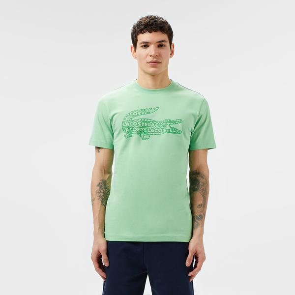 Erkek Regular Fit Bisiklet Yaka Baskılı Açık Yeşil T-Shirt