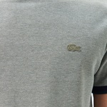 Erkek Regular Fit Bisiklet Yaka Gri T-Shirt