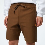 Carhartt WIP American Script Short Erkek Kahverengi Şort