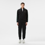 Erkek Regular Fit Baskılı Siyah Eşofman Altı