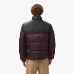 Hugo Water-Repellent Puffer Red Logo Label Erkek Mor Mont