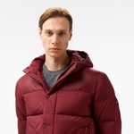 Tommy Hilfiger Erkek Mor Mont