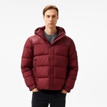 Tommy Hilfiger Erkek Mor Mont