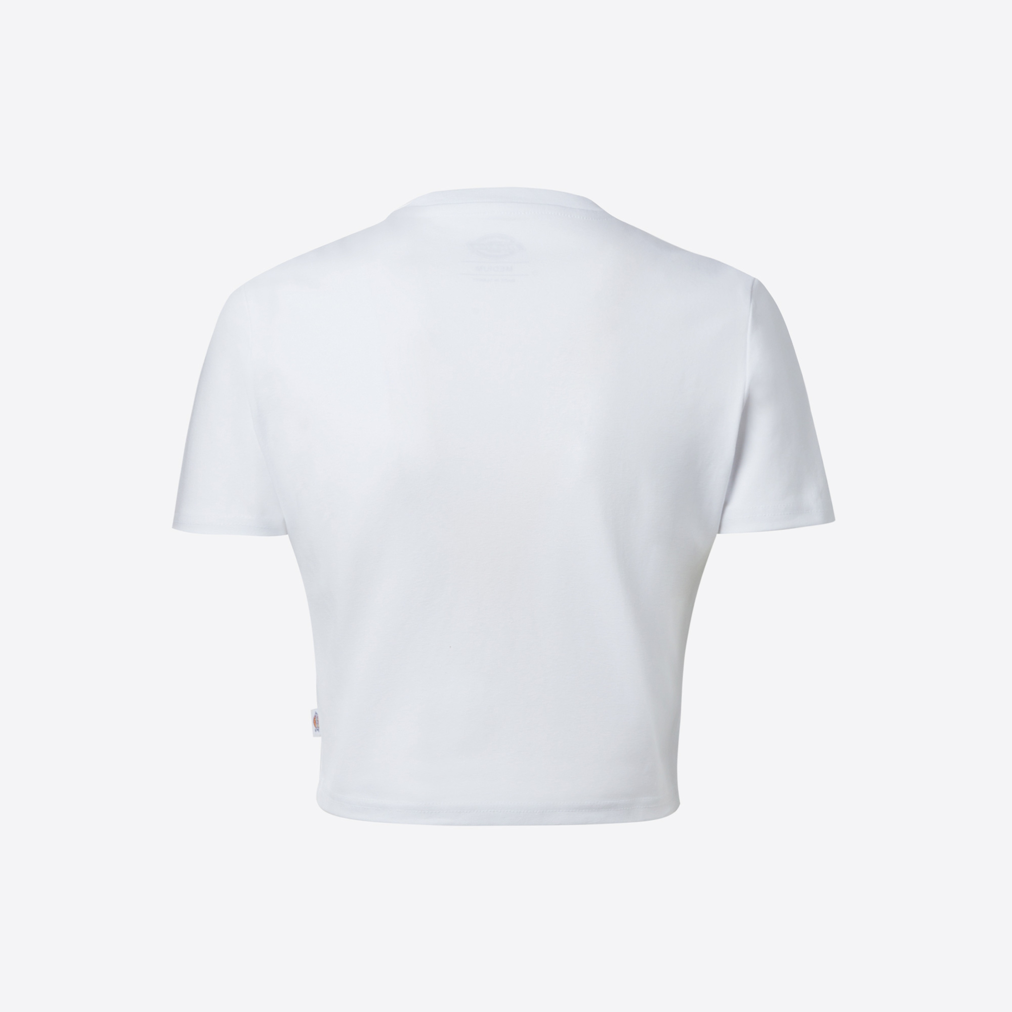 Dickies Maple Valley Kadın Beyaz Crop T-Shirt