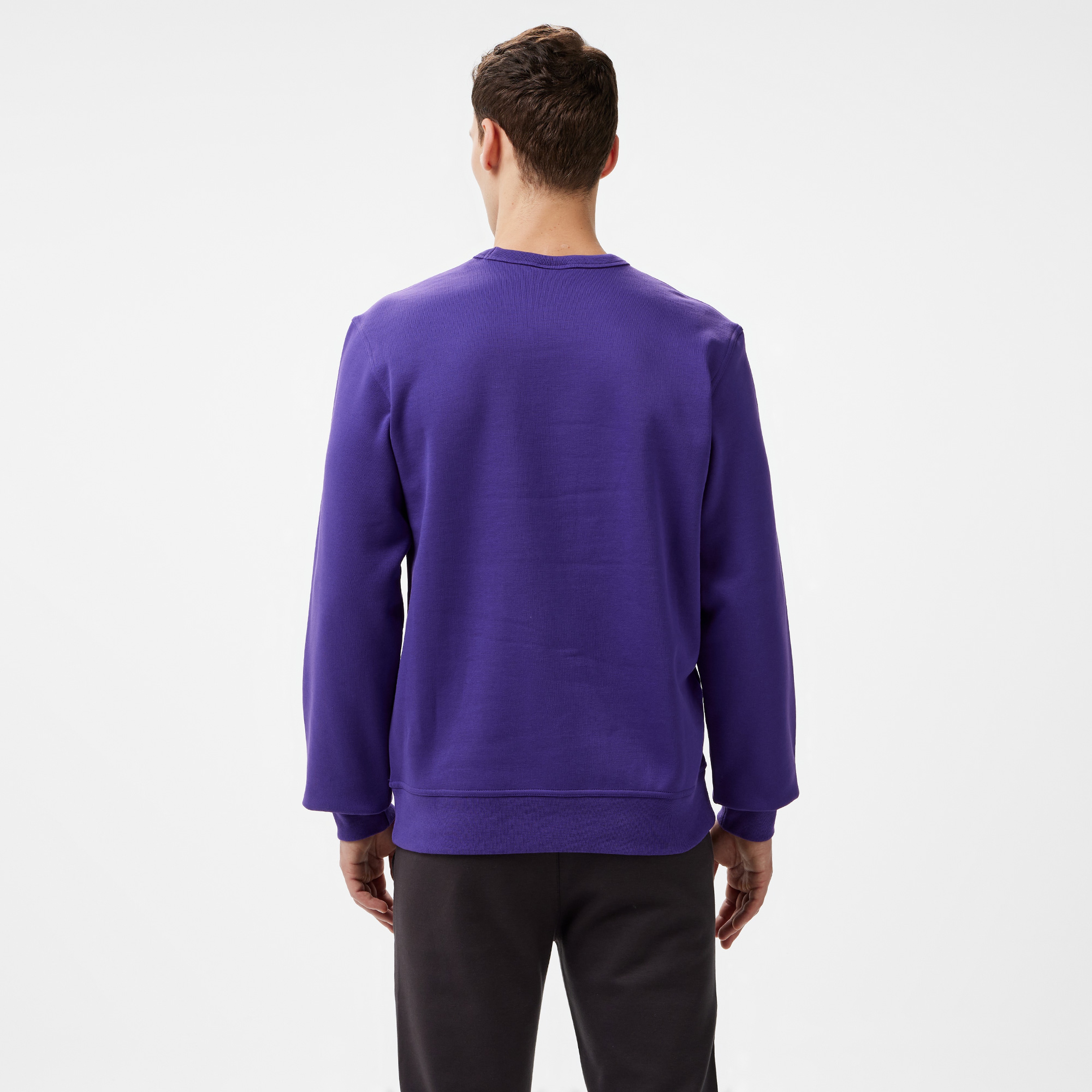 Champion Erkek Mor Sweatshirt