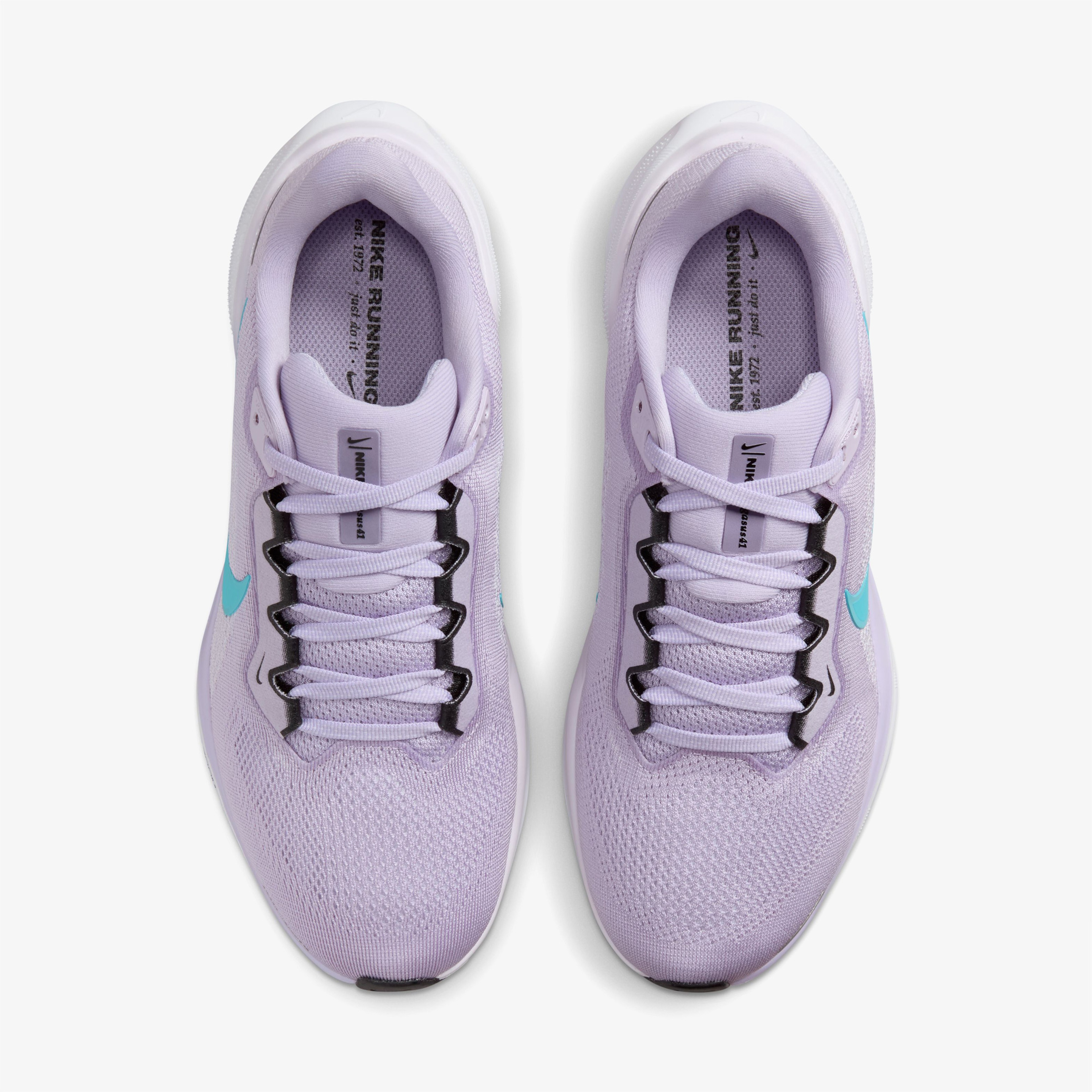 Nike Air Zoom Pegasus 41 Kadın Mor Koşu Ayakkabısı