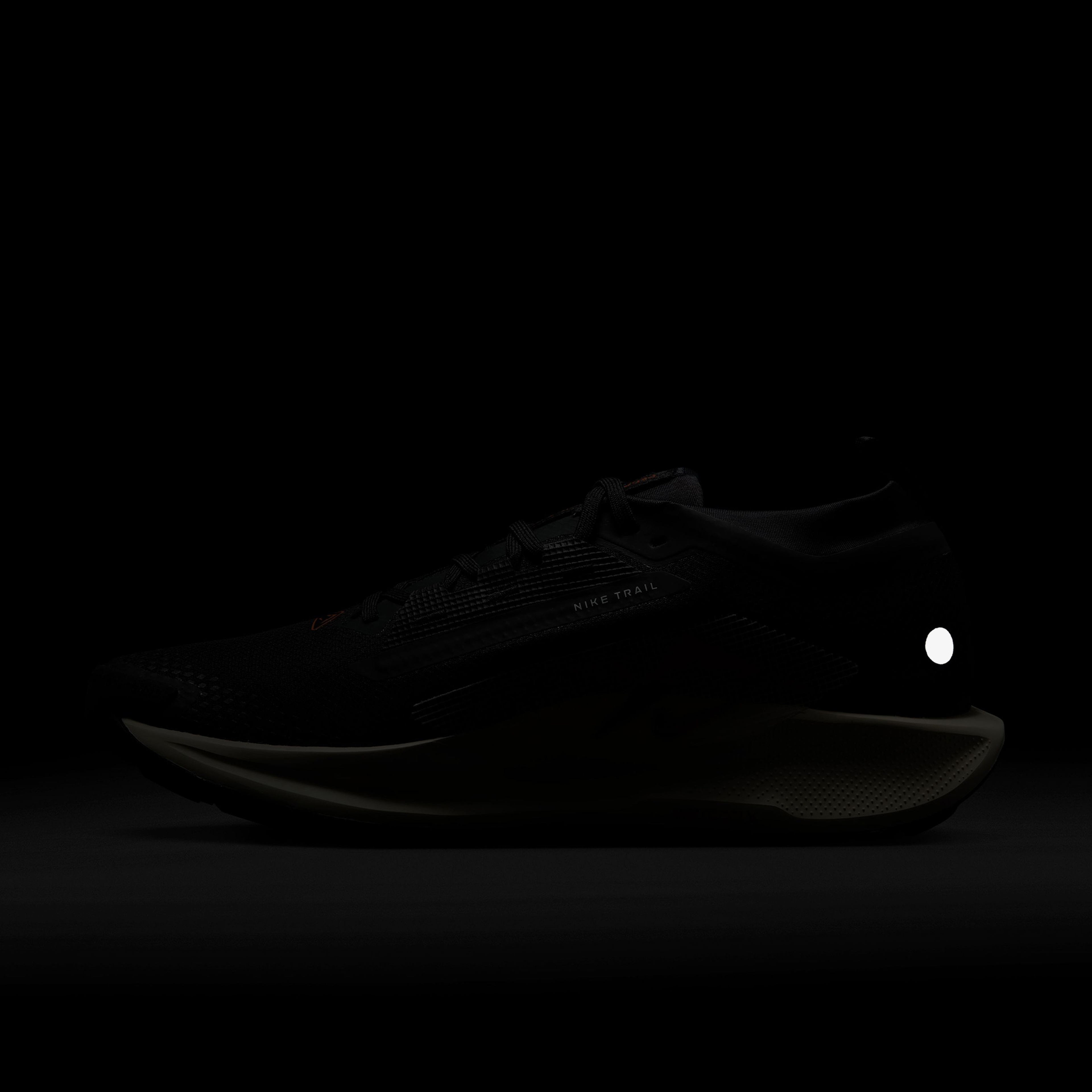 Nike Pegasus Trail 5 GORE-TEX Erkek Siyah Koşu Ayakkabısı