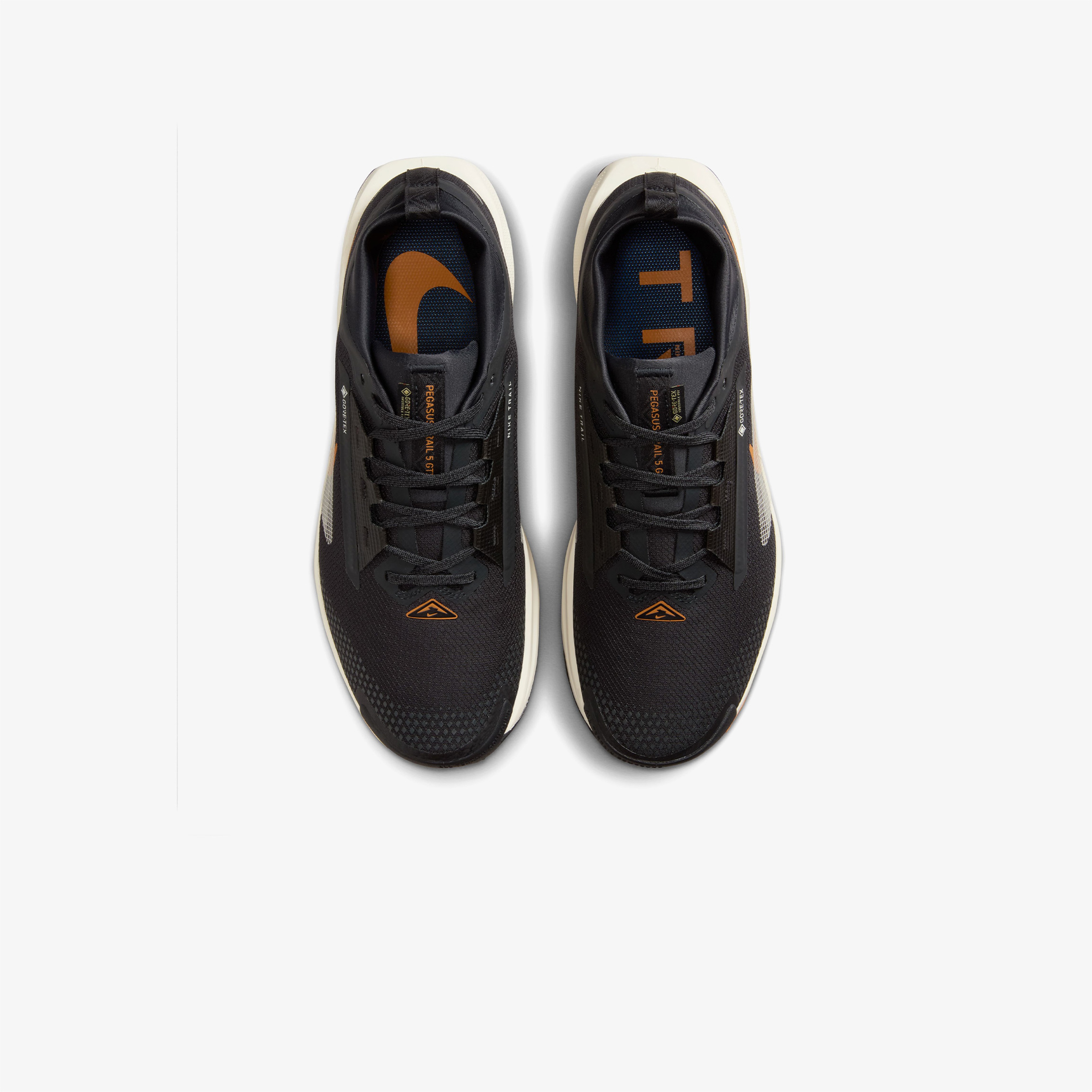 Nike Pegasus Trail 5 GORE-TEX Erkek Siyah Koşu Ayakkabısı