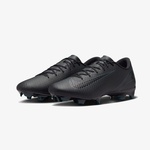Nike Mercurial Zoom Vapor 16 Academy Fg/Mg Erkek Siyah Çim Saha Kramponu