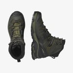 Salomon Quest 4 Gore-Tex Erkek Haki Bot