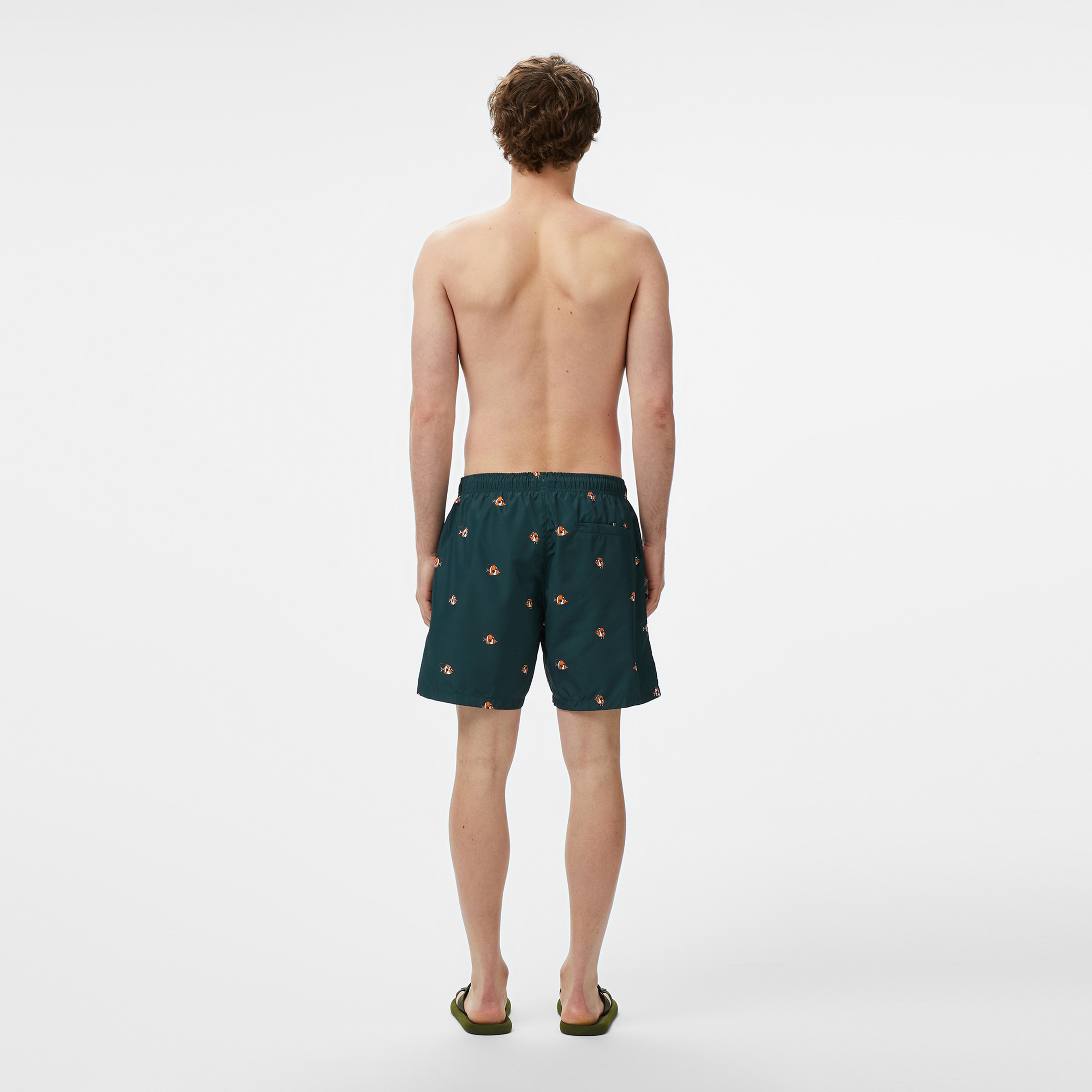 Nautica Erkek Yeşil Regular Fit Desenli Deniz Şortu