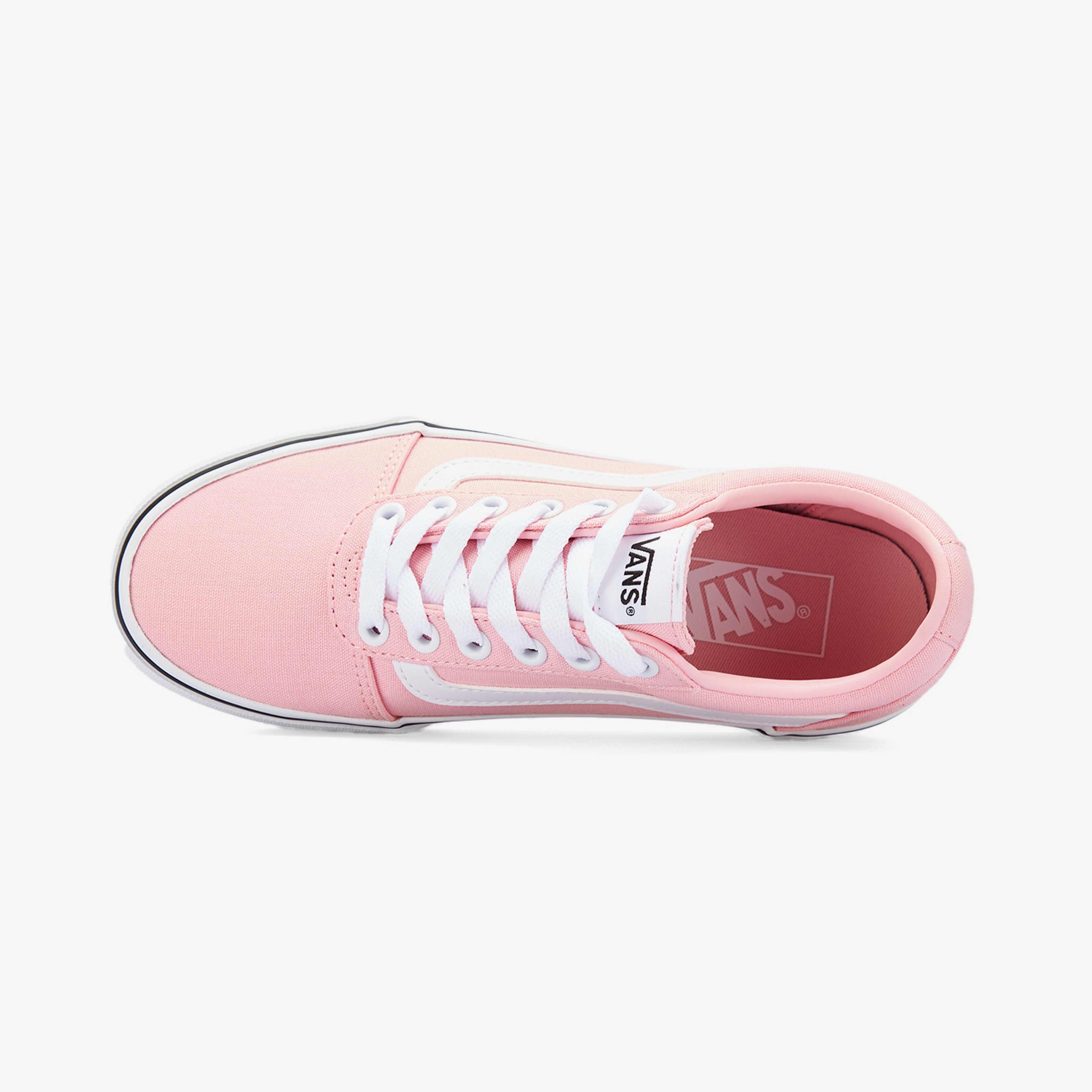 Vans Ward Canvas Unisex Pembe Sneaker